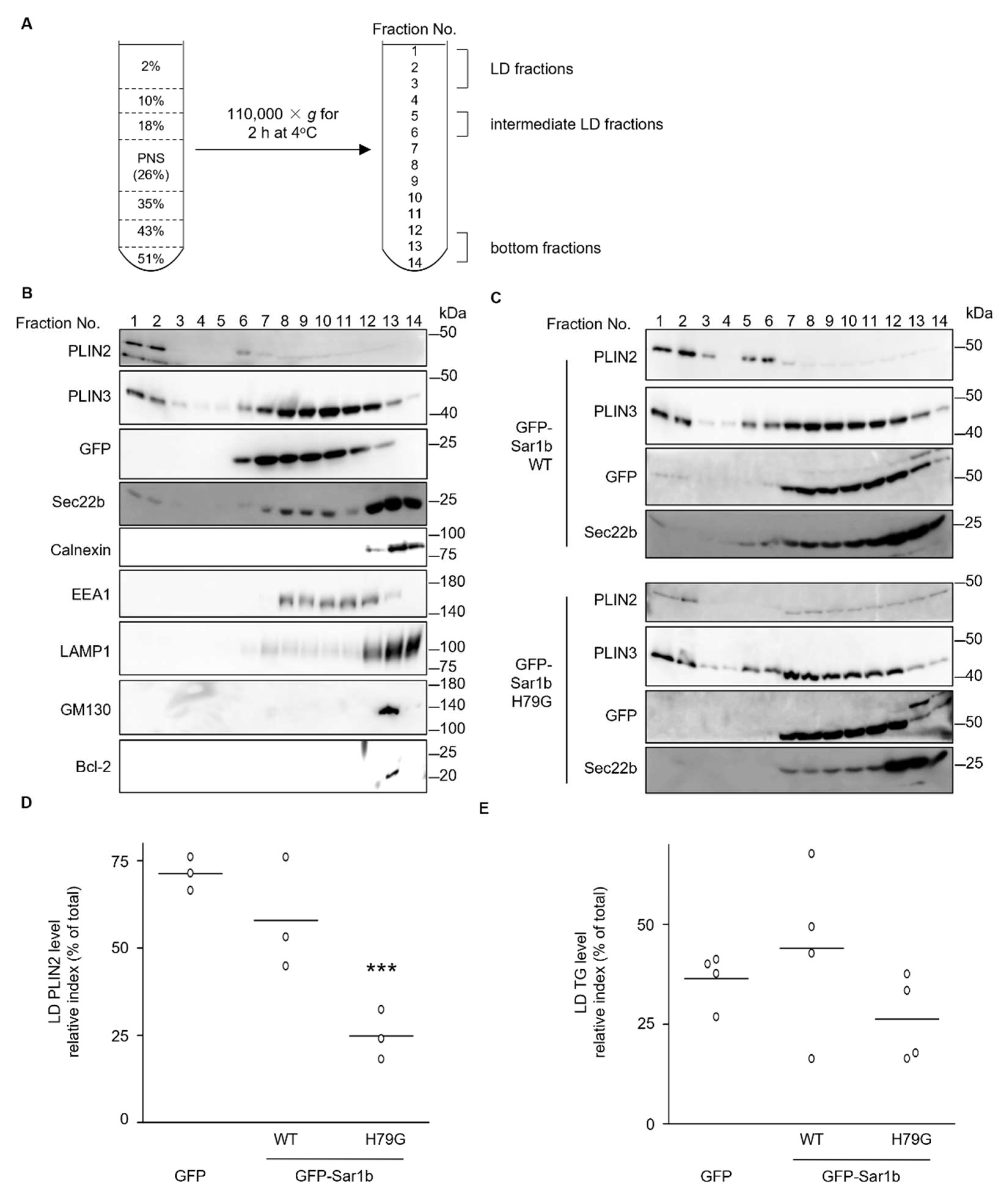 Ijms 23 06366 g003 550