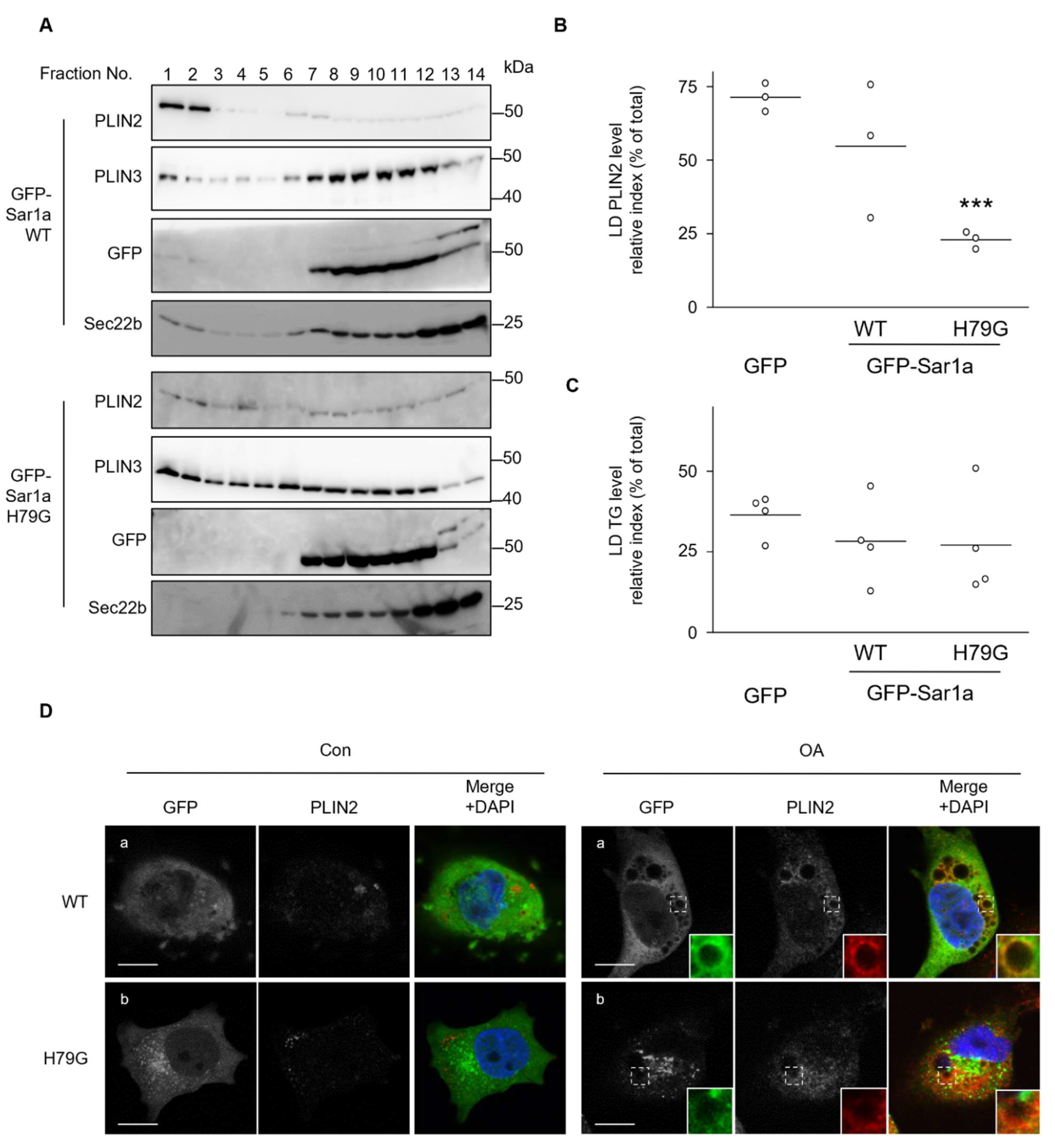 Ijms 23 06366 g005 550