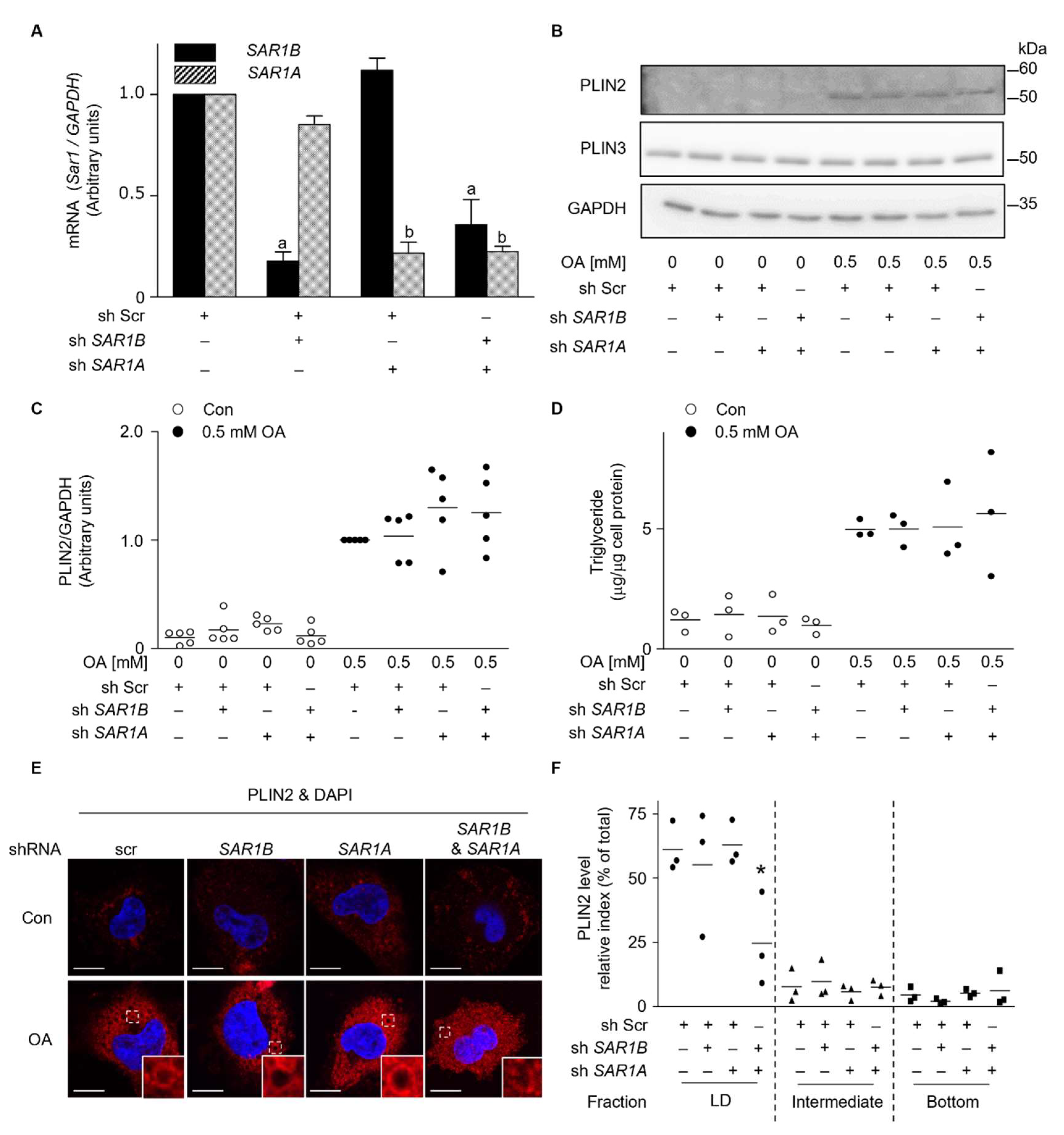 Ijms 23 06366 g006 550