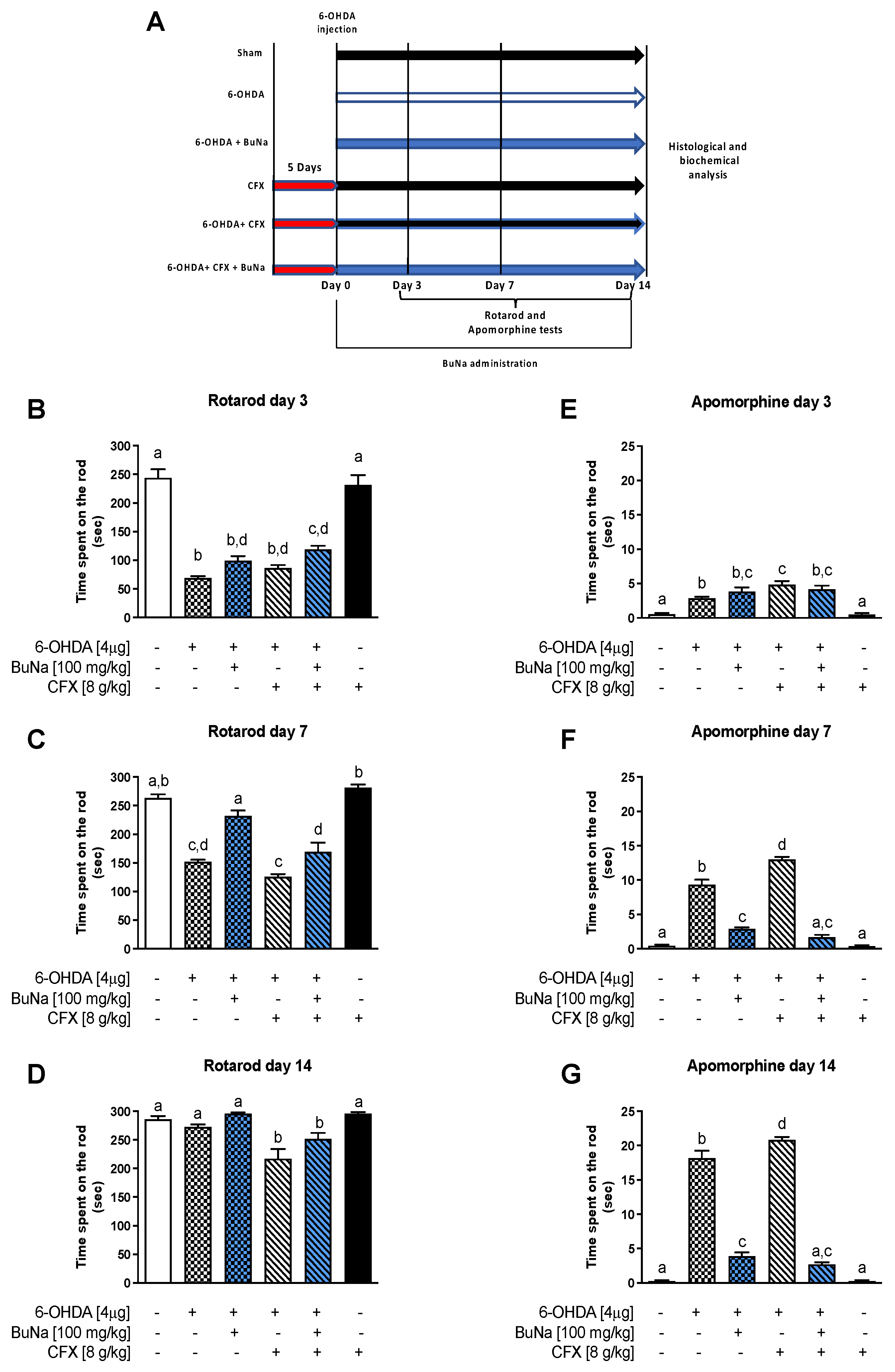 Ijms Free Full Text Dual Hit Model Of Parkinson Rsquo S Disease Impact Of Dysbiosis On 6 Hydroxydopamine Insulted Mice Mdash Neuroprotective And Anti Inflammatory Effects Of Butyrate Html