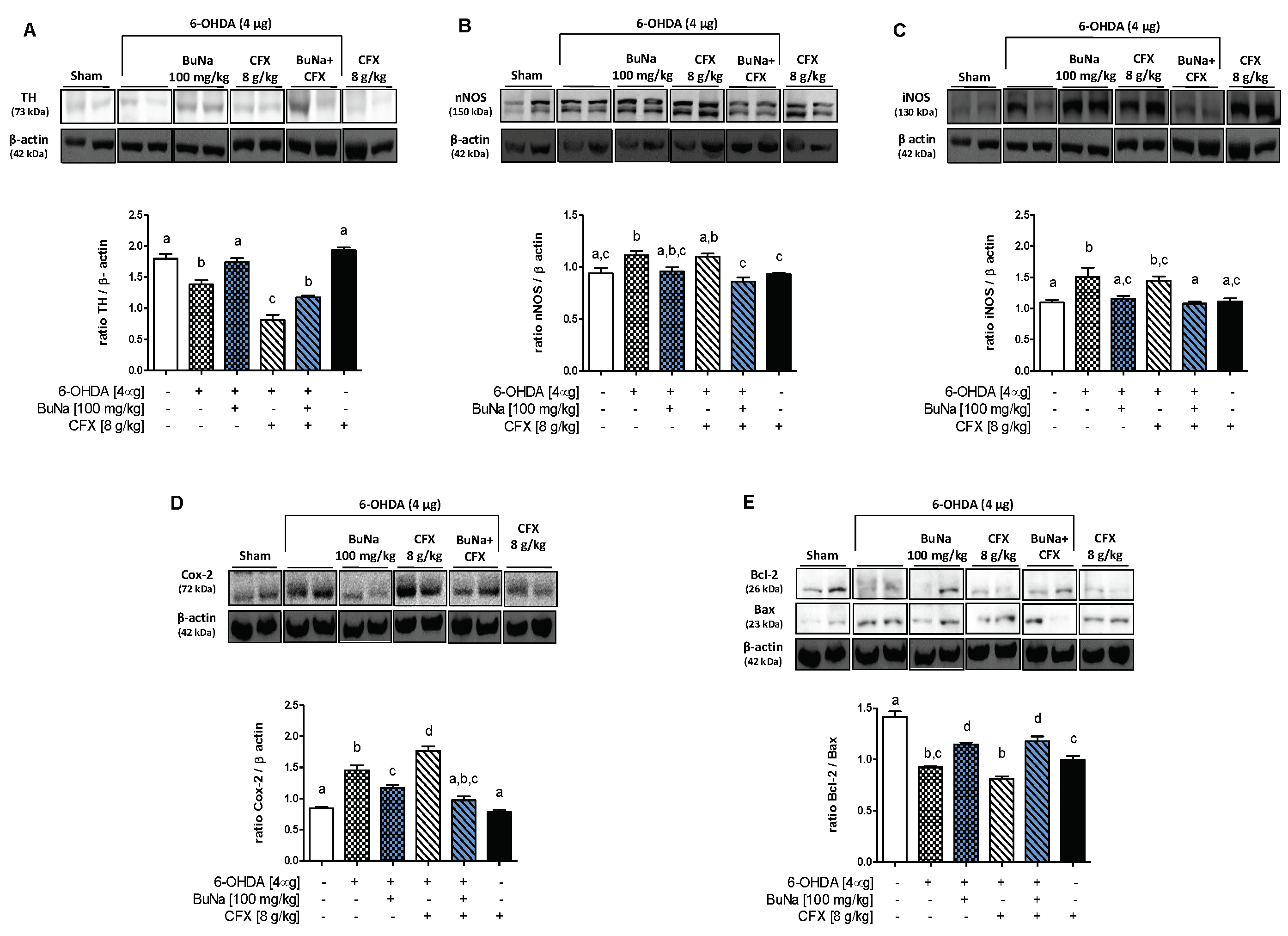 Ijms 23 06367 g002 550