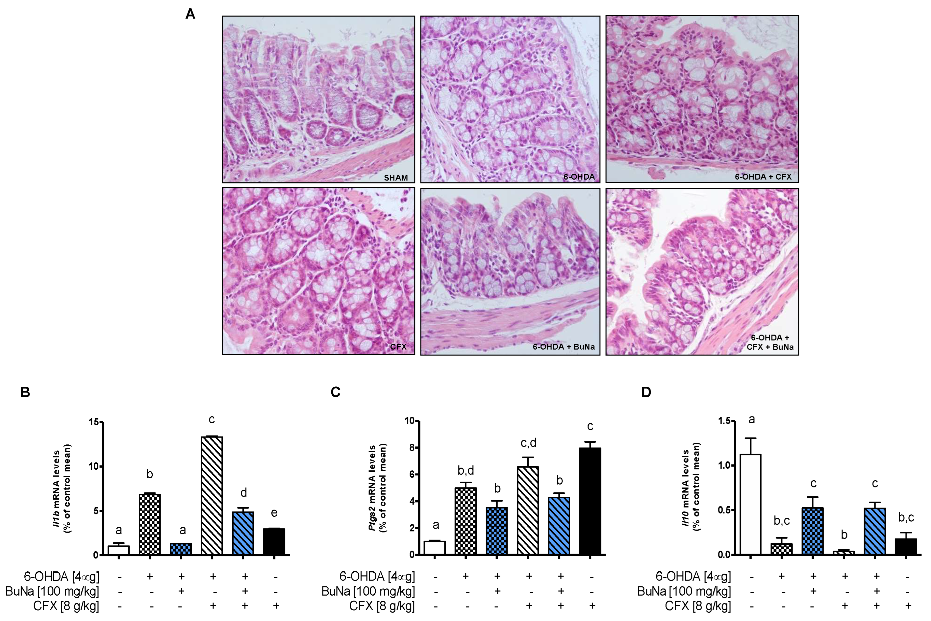 Ijms 23 06367 g004 550