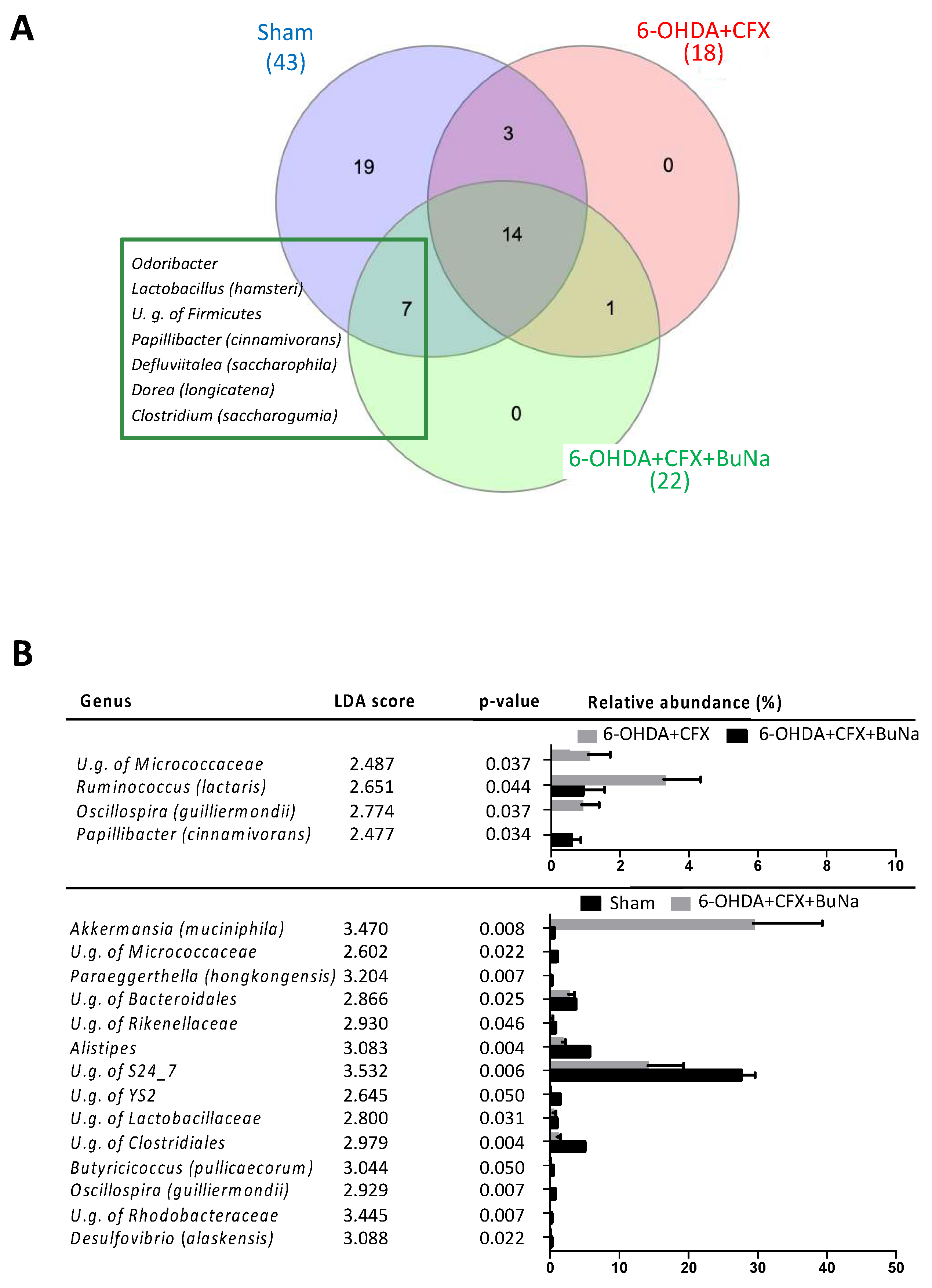 Ijms 23 06367 g007 550