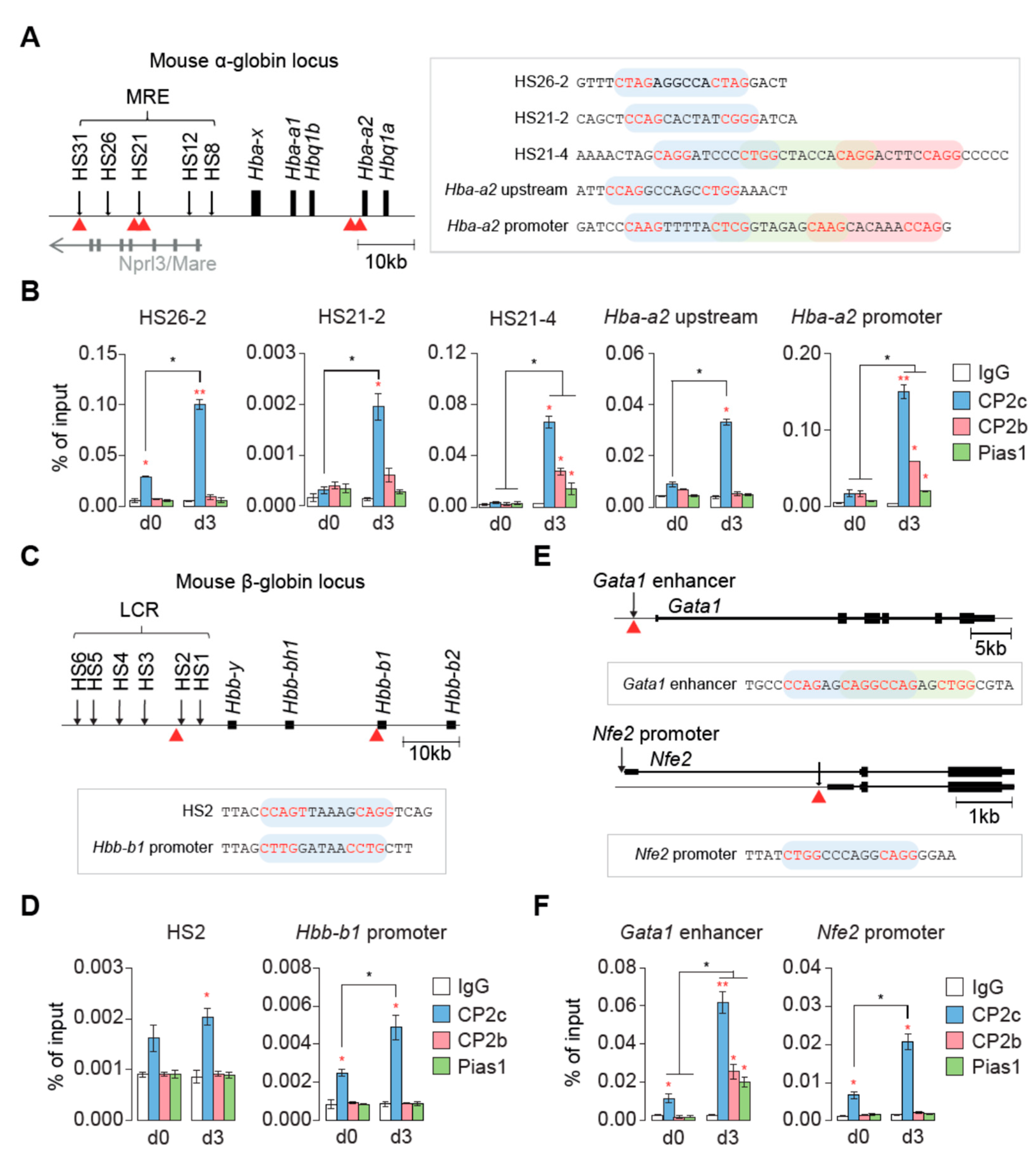 Ijms 23 06369 g001 550