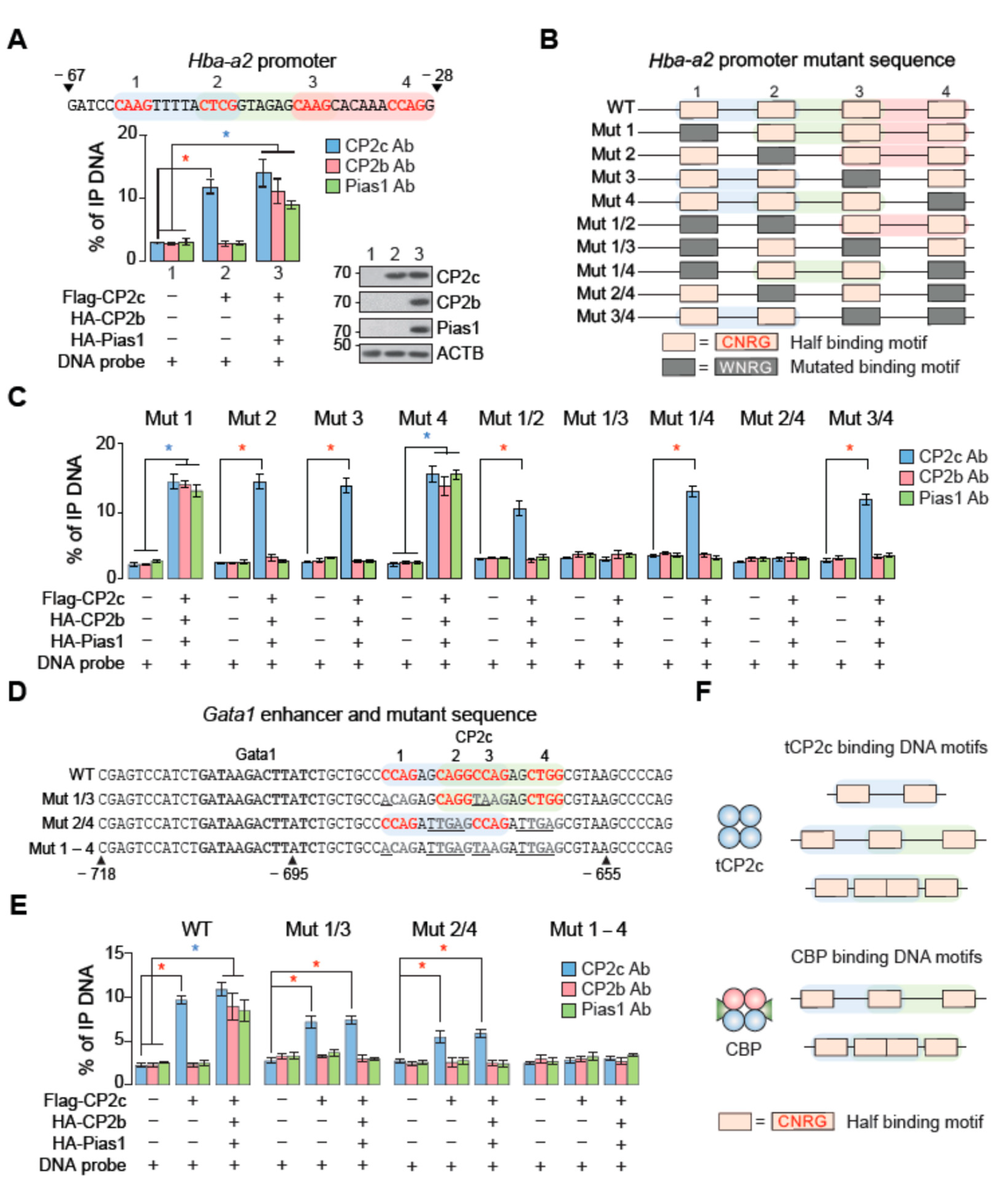 Ijms 23 06369 g002 550