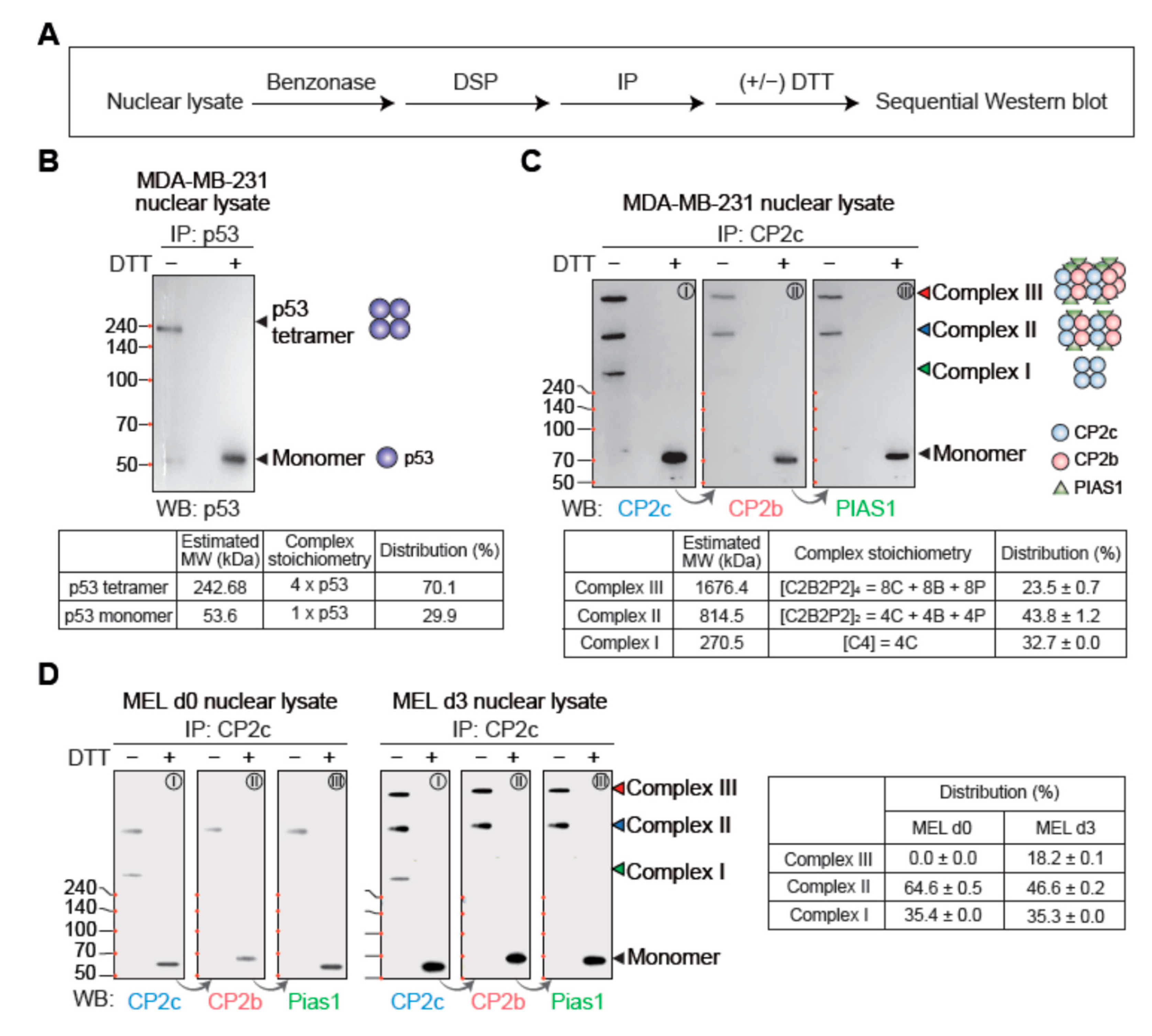Ijms 23 06369 g004 550