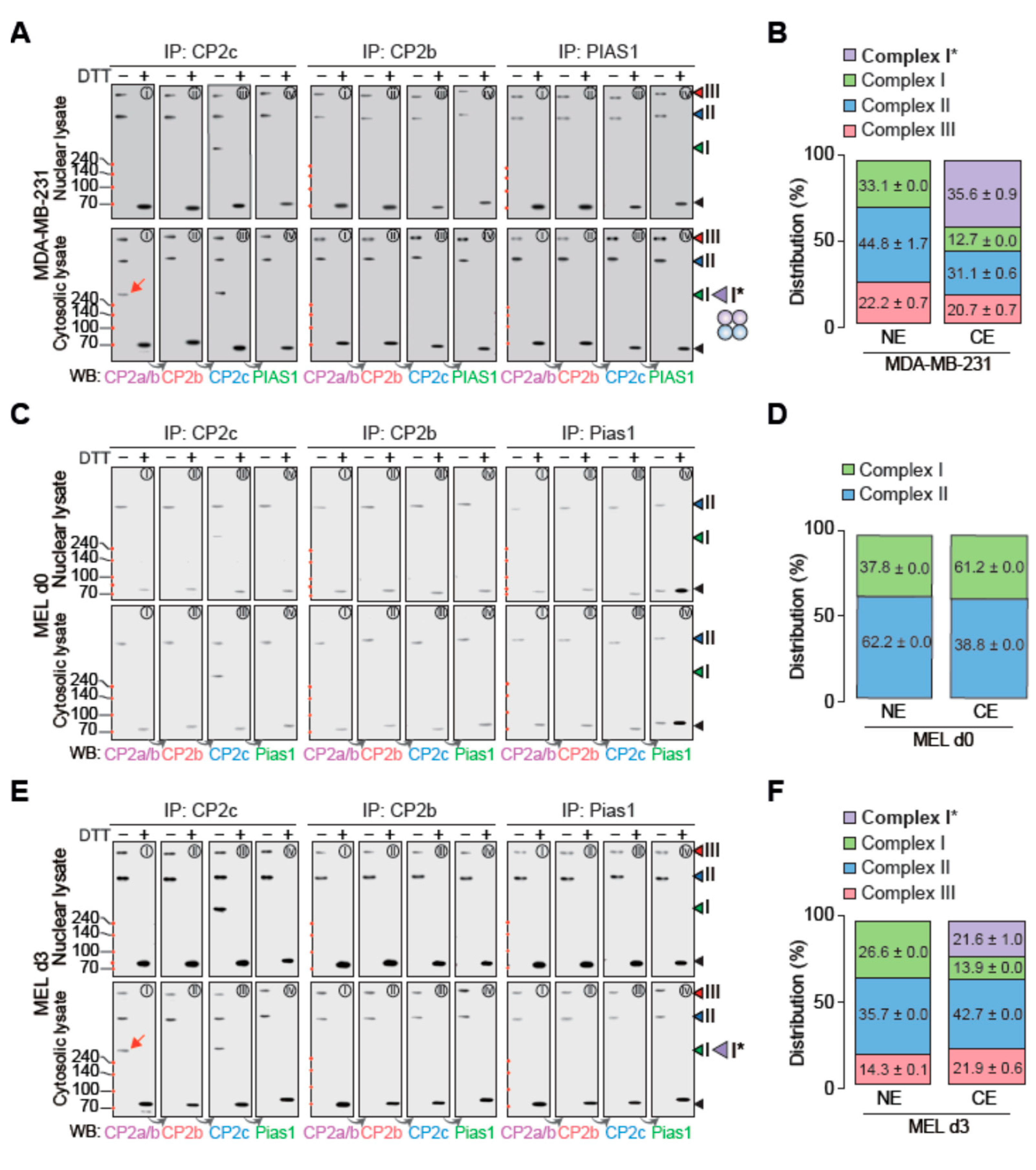 Ijms 23 06369 g005 550