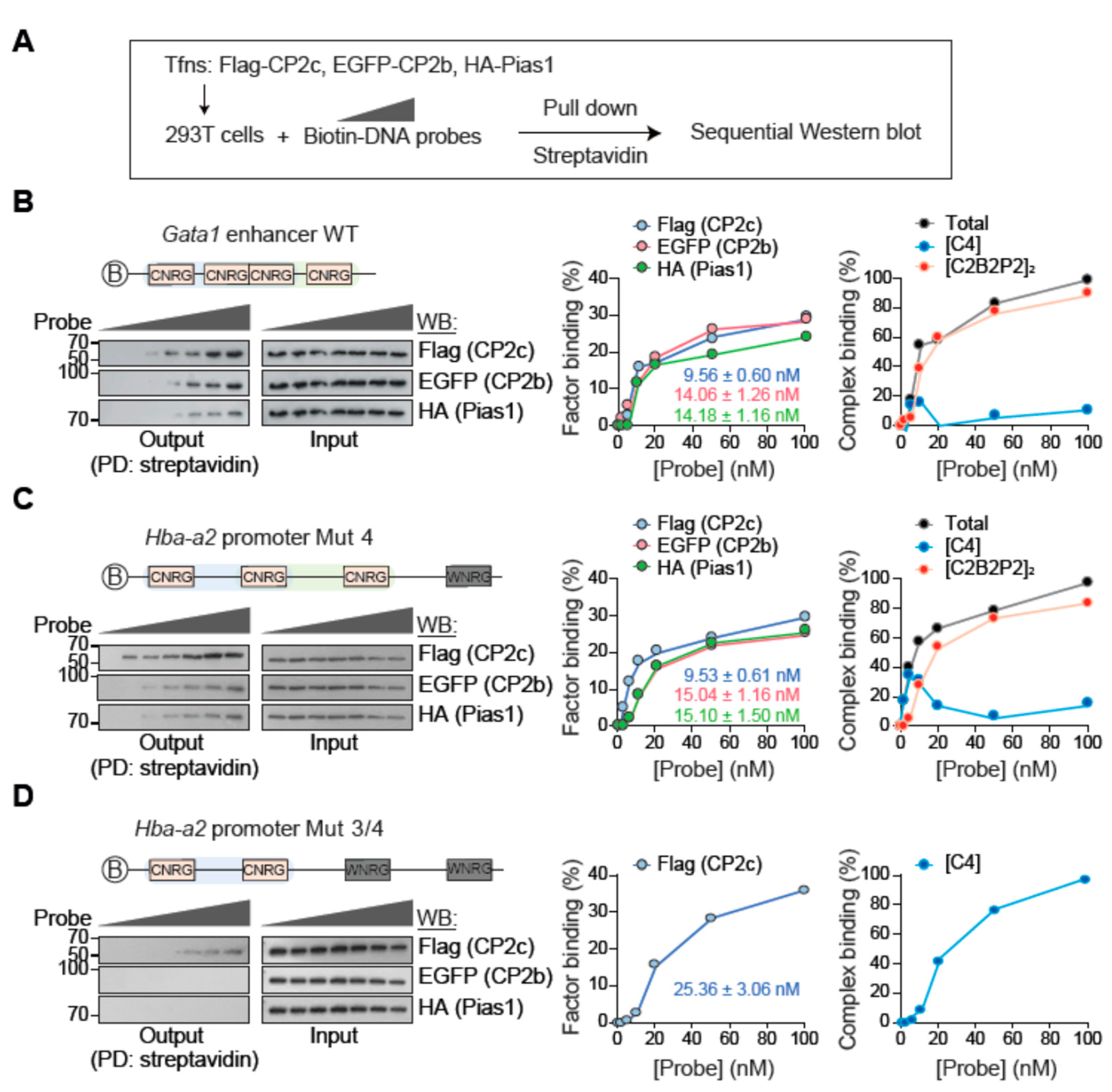 Ijms 23 06369 g007 550