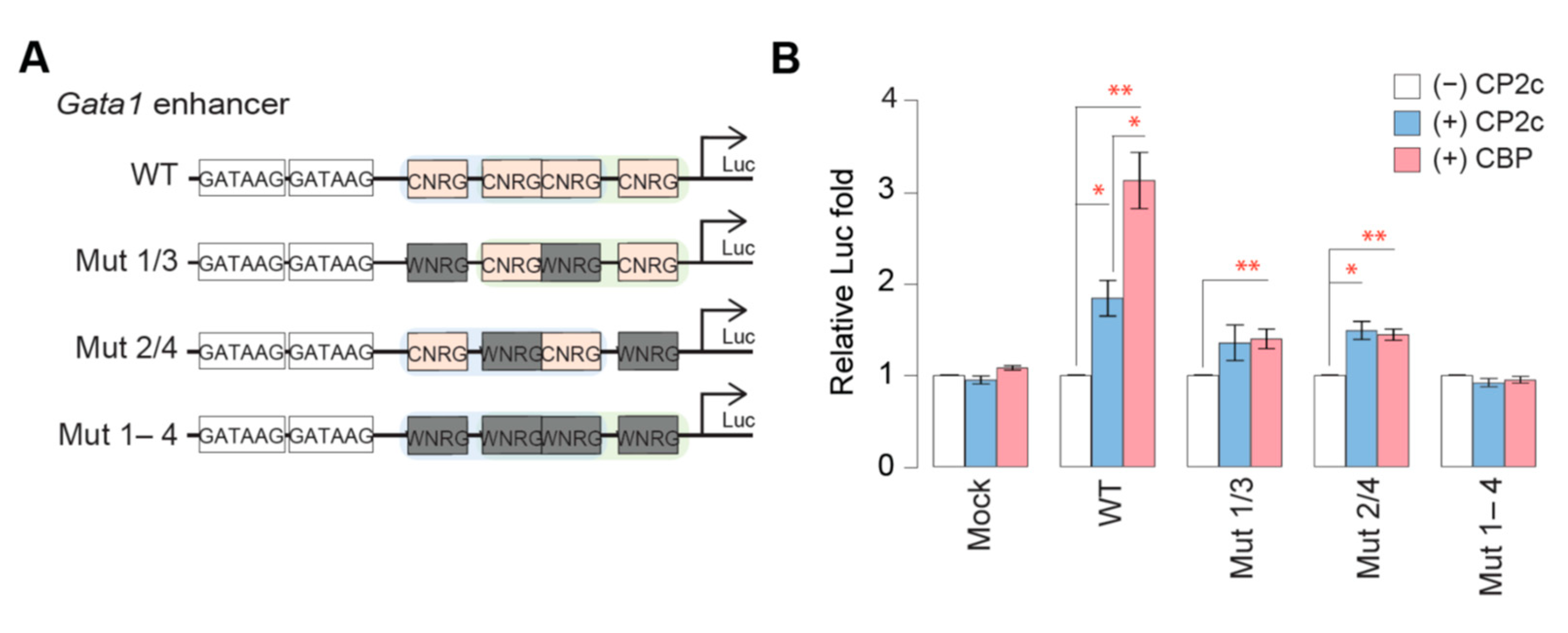 Ijms 23 06369 g008 550