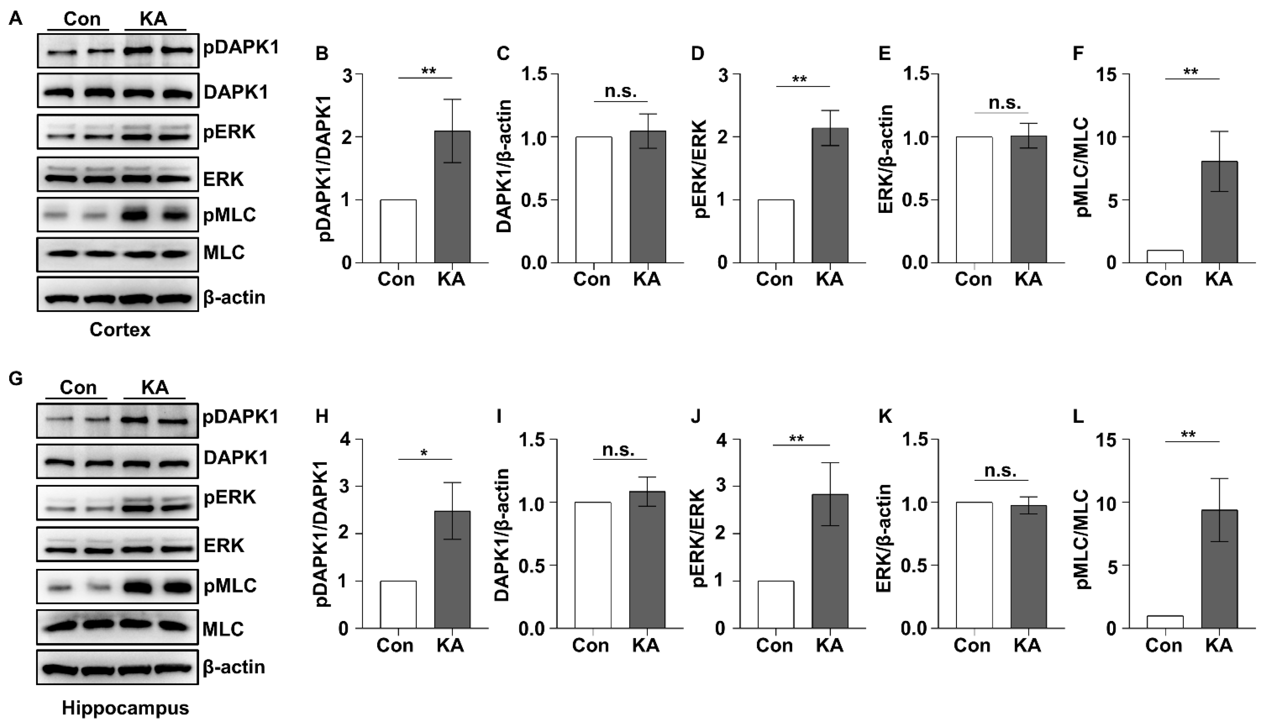 Ijms 23 06370 g001 550