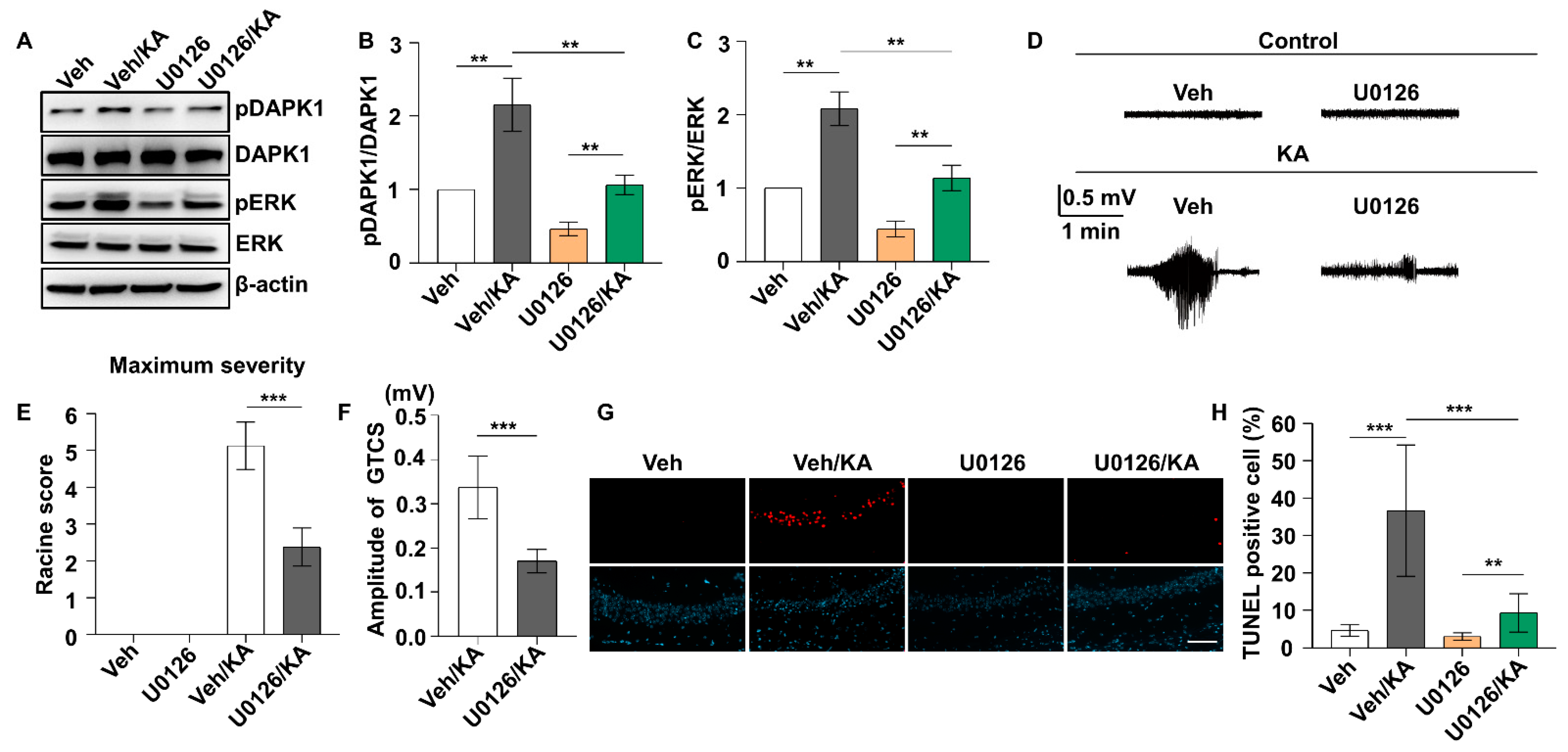 Ijms 23 06370 g002 550