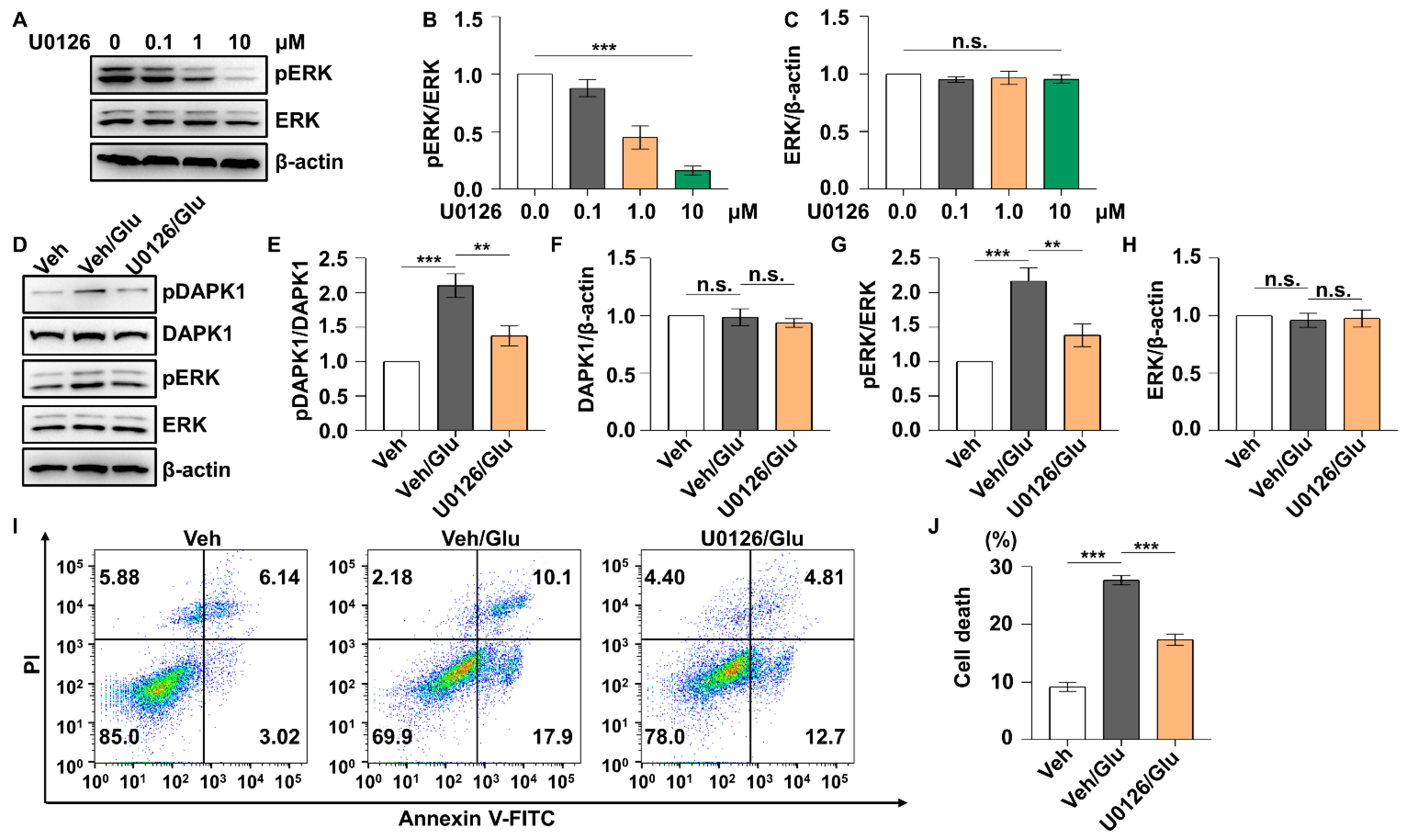 Ijms 23 06370 g006 550