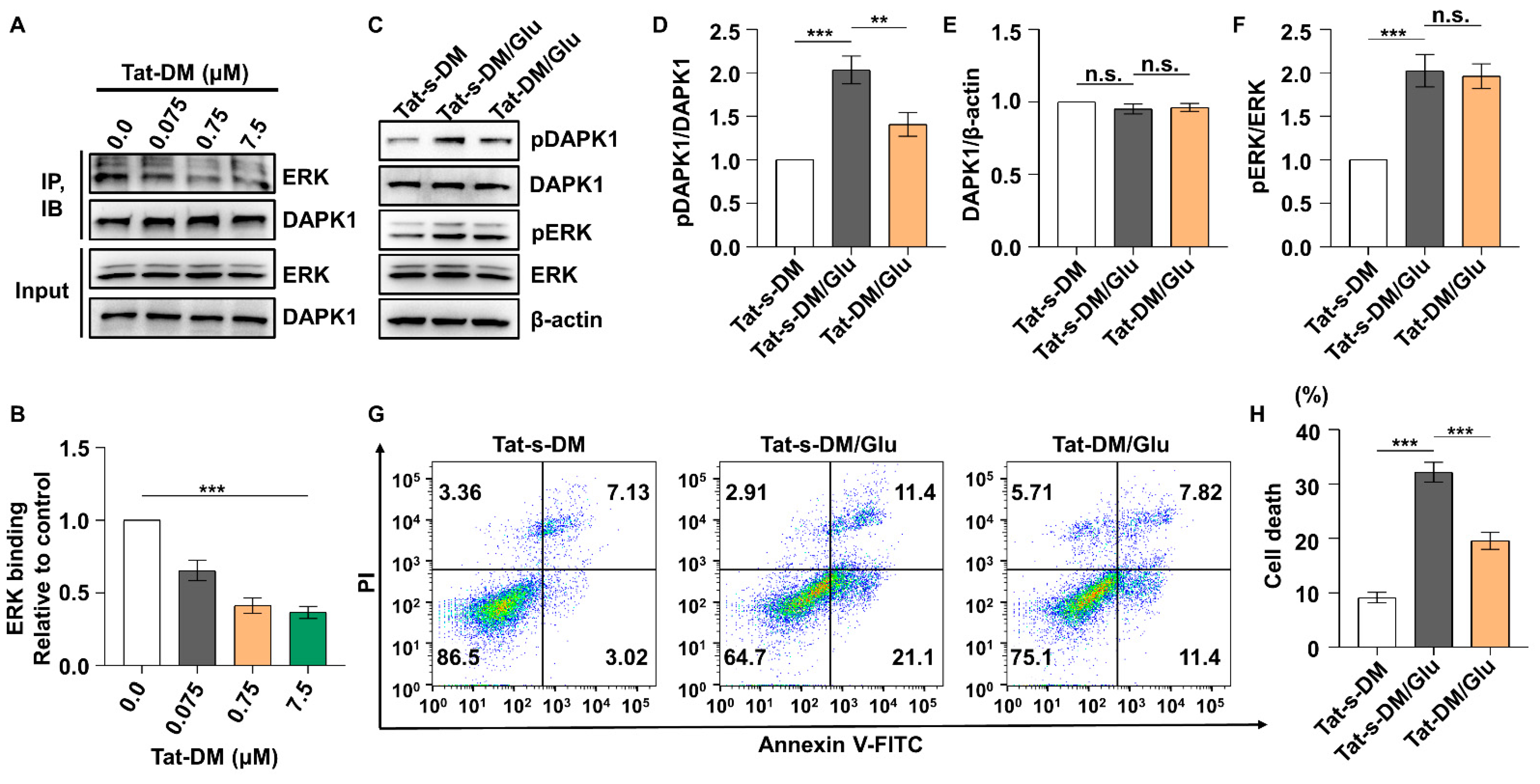 Ijms 23 06370 g007 550