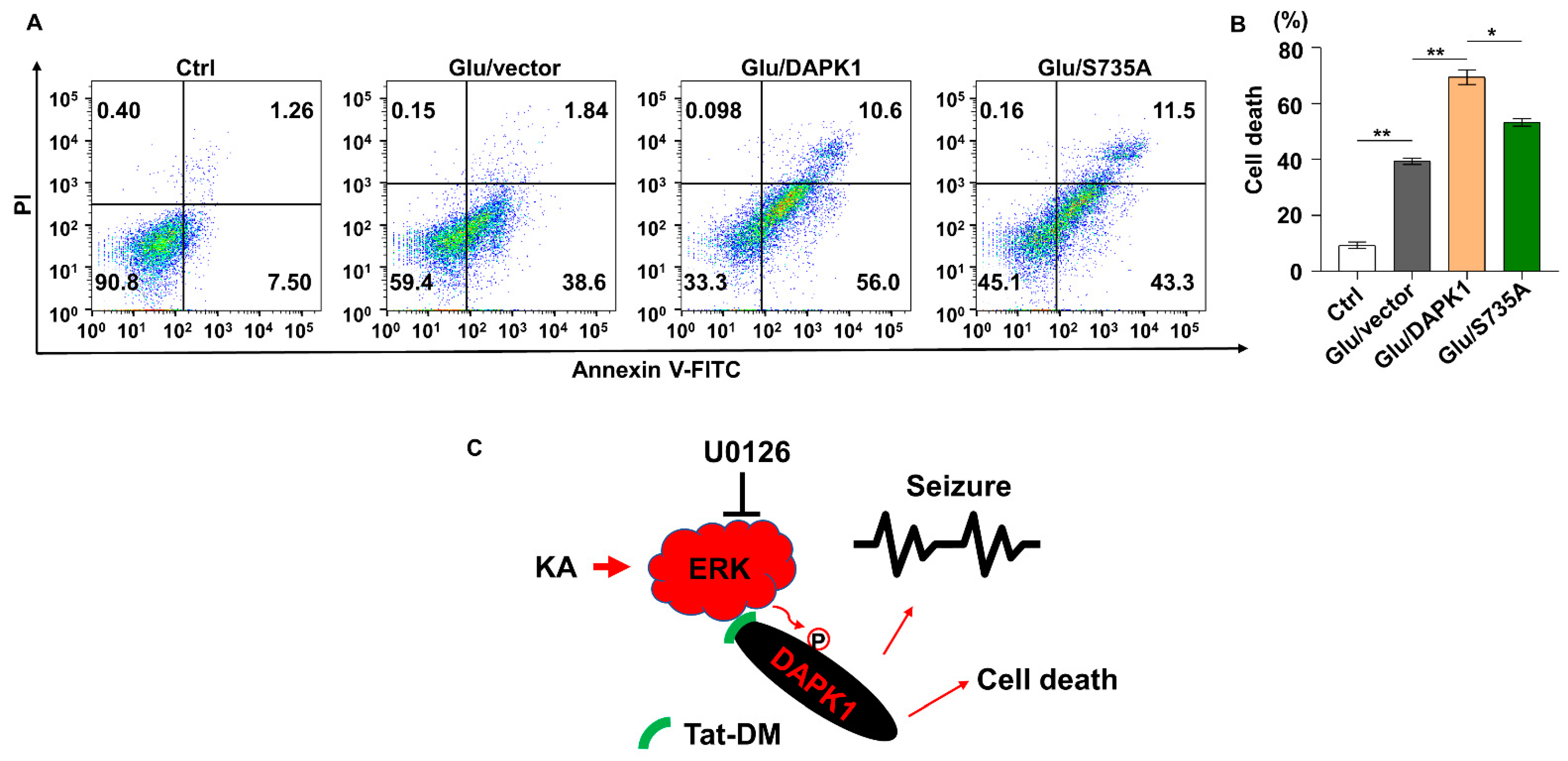 Ijms 23 06370 g008 550