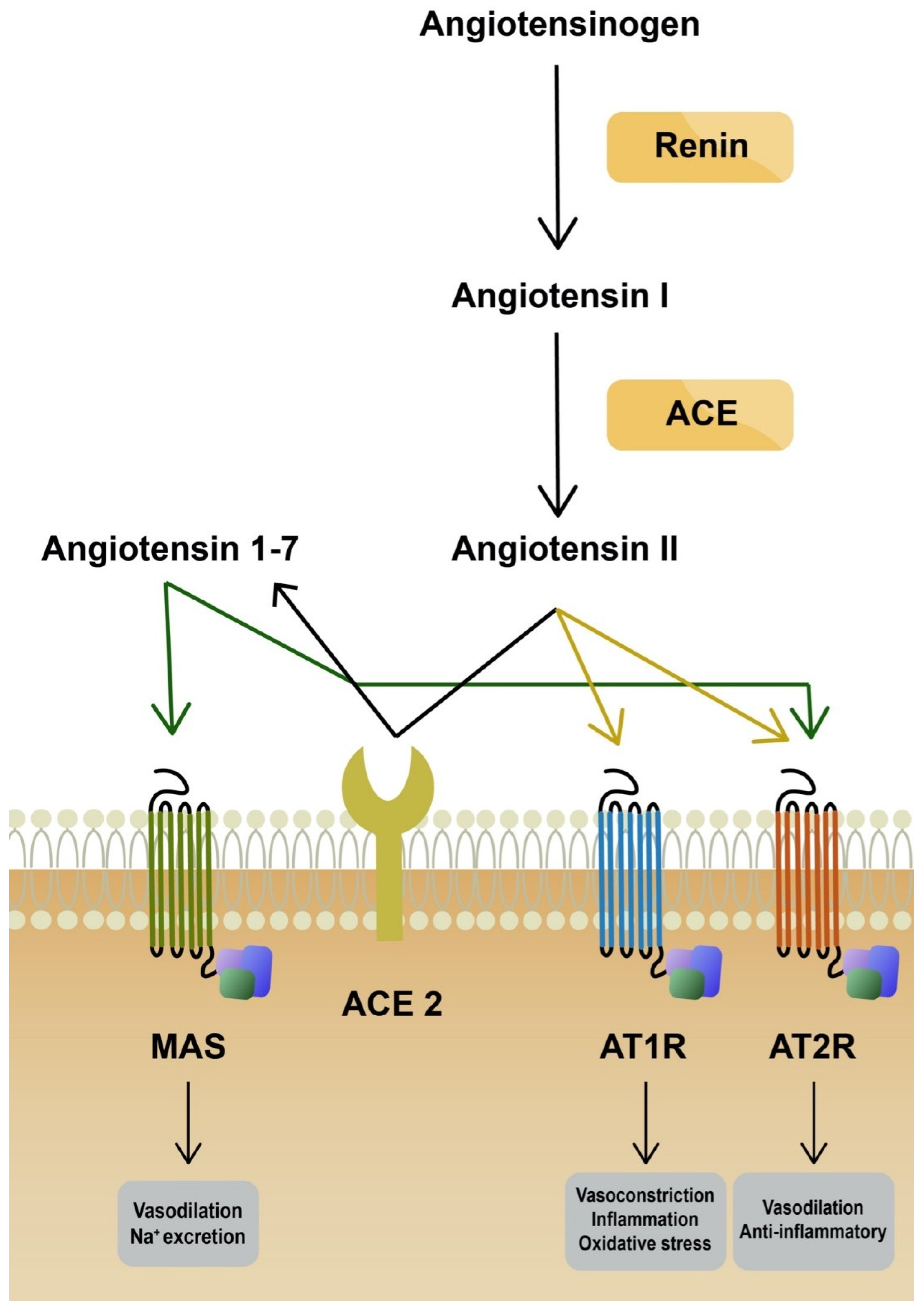 Ijms 23 06377 g001 550