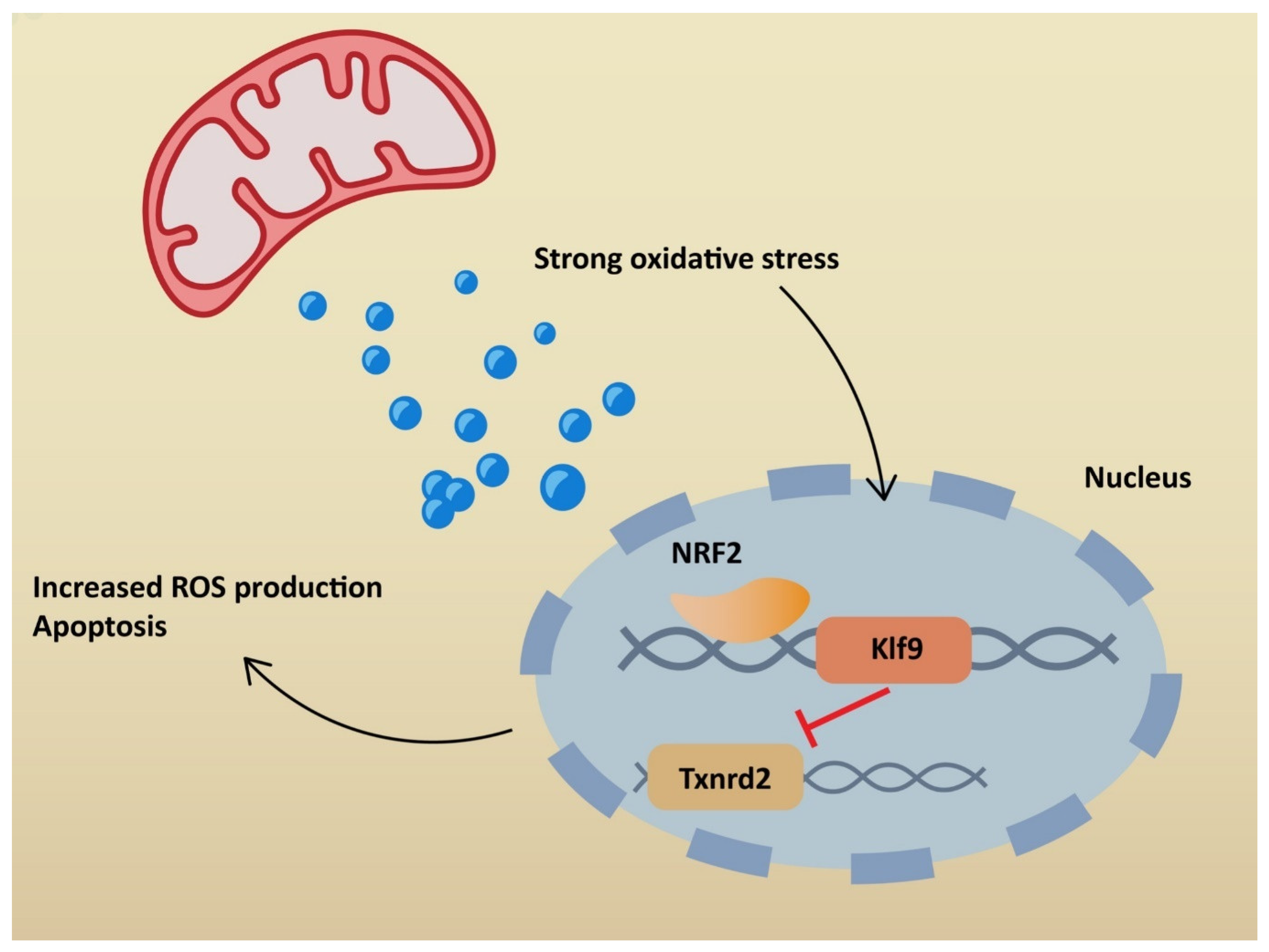 Ijms 23 06377 g004 550