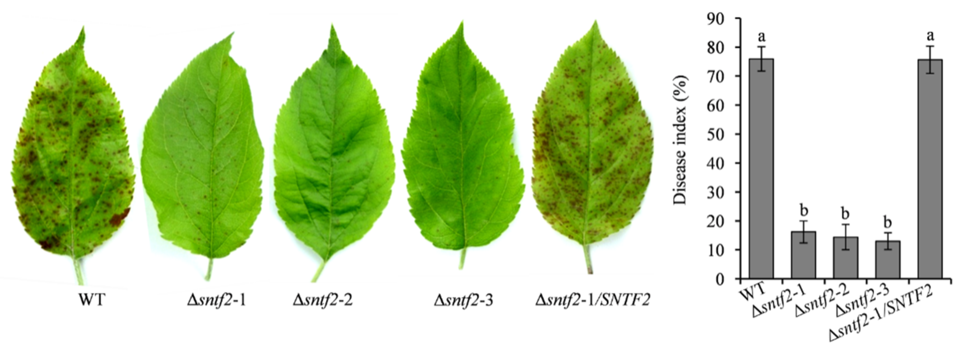 Ijms 23 06379 g003 550