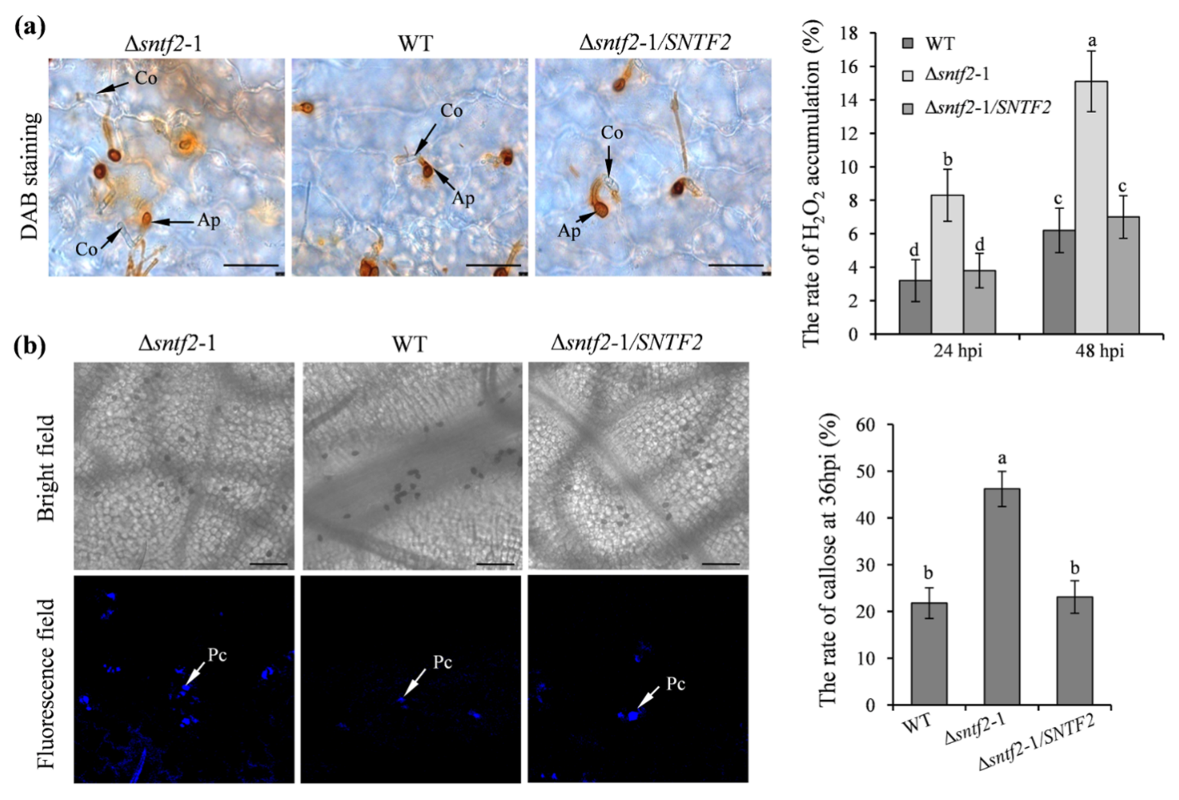 Ijms 23 06379 g004 550