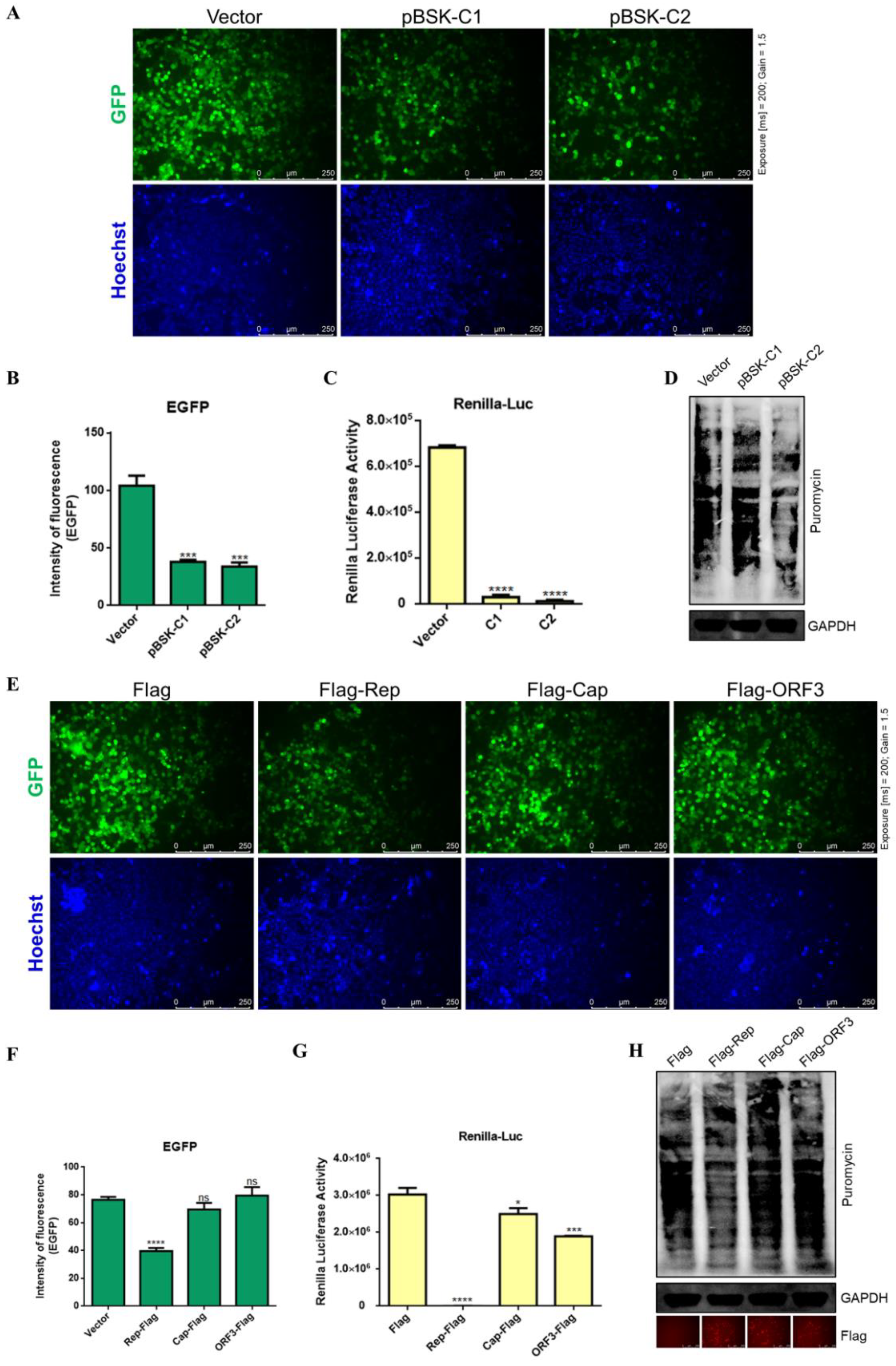 Ijms 23 06382 g004 550