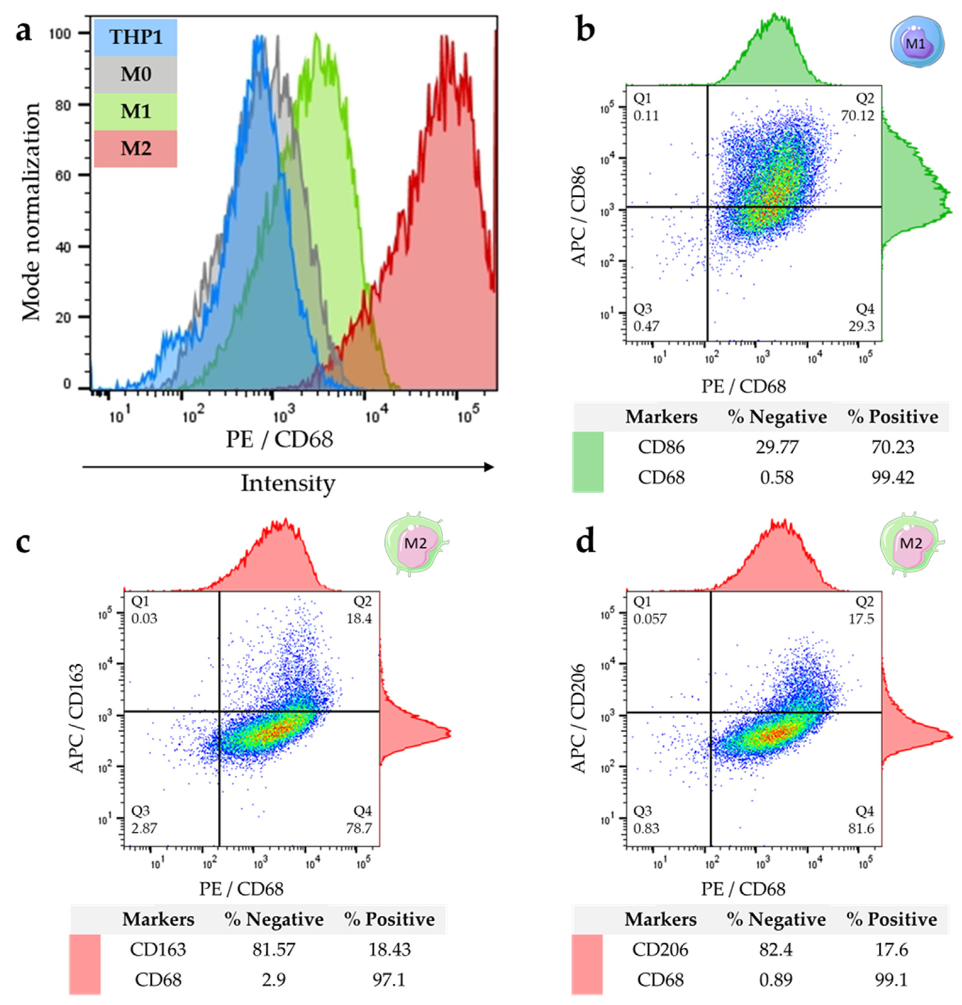 Ijms 23 06385 g005 550