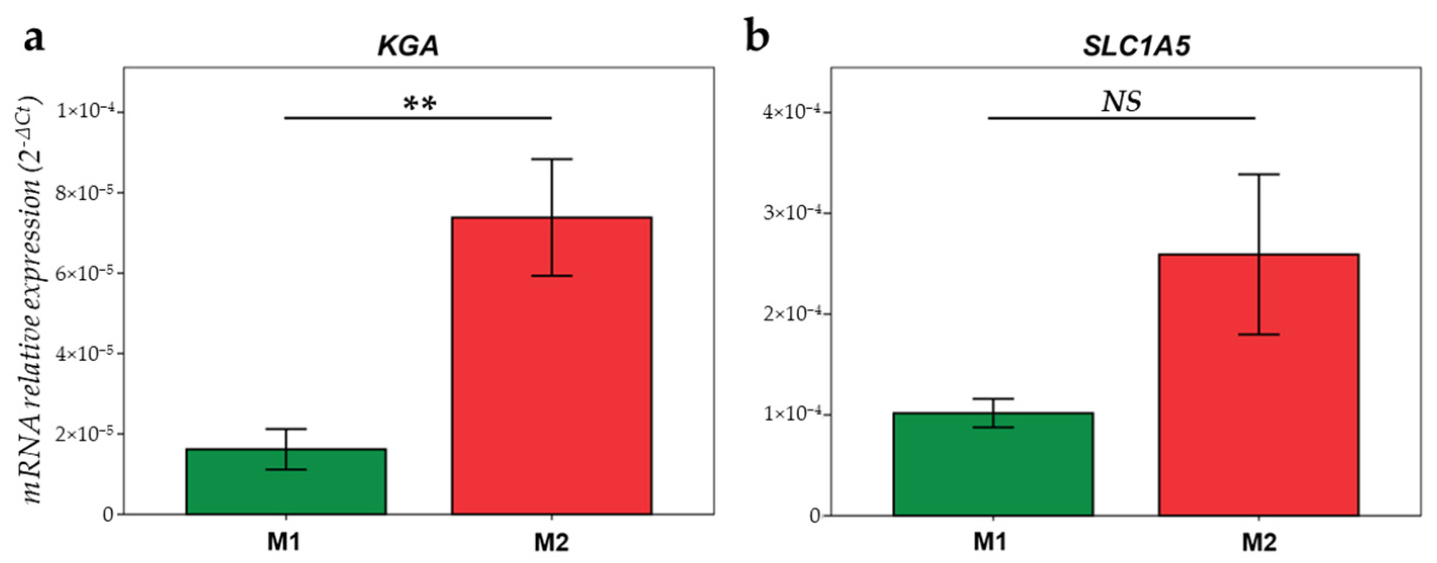 Ijms 23 06385 g007 550