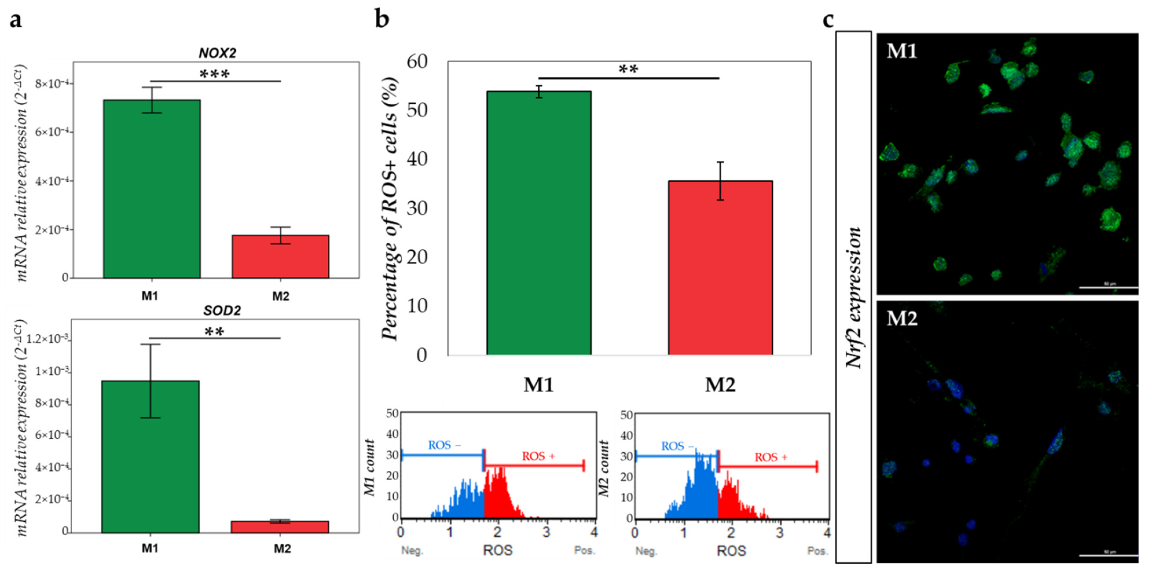 Ijms 23 06385 g008 550