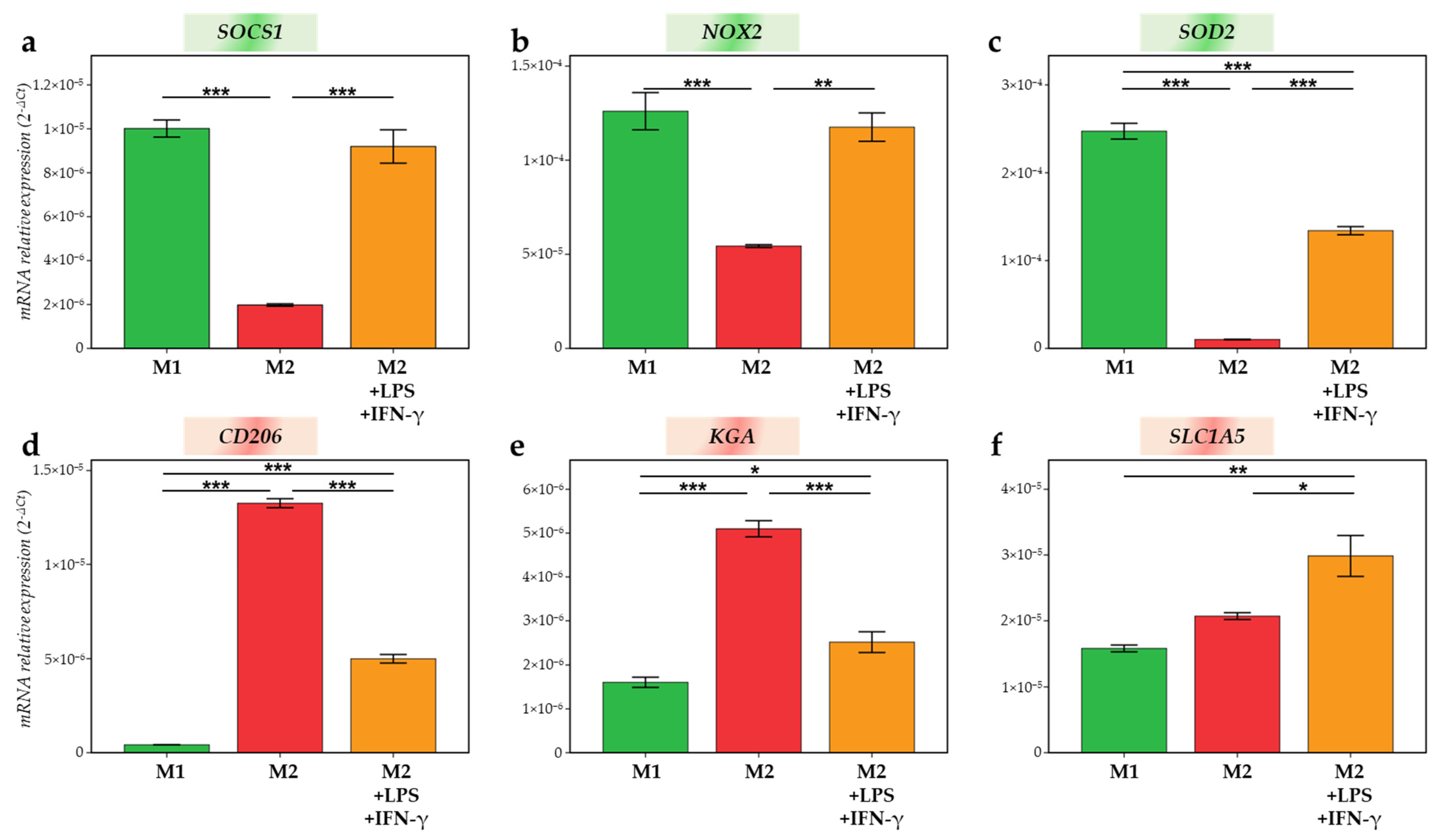Ijms 23 06385 g009 550
