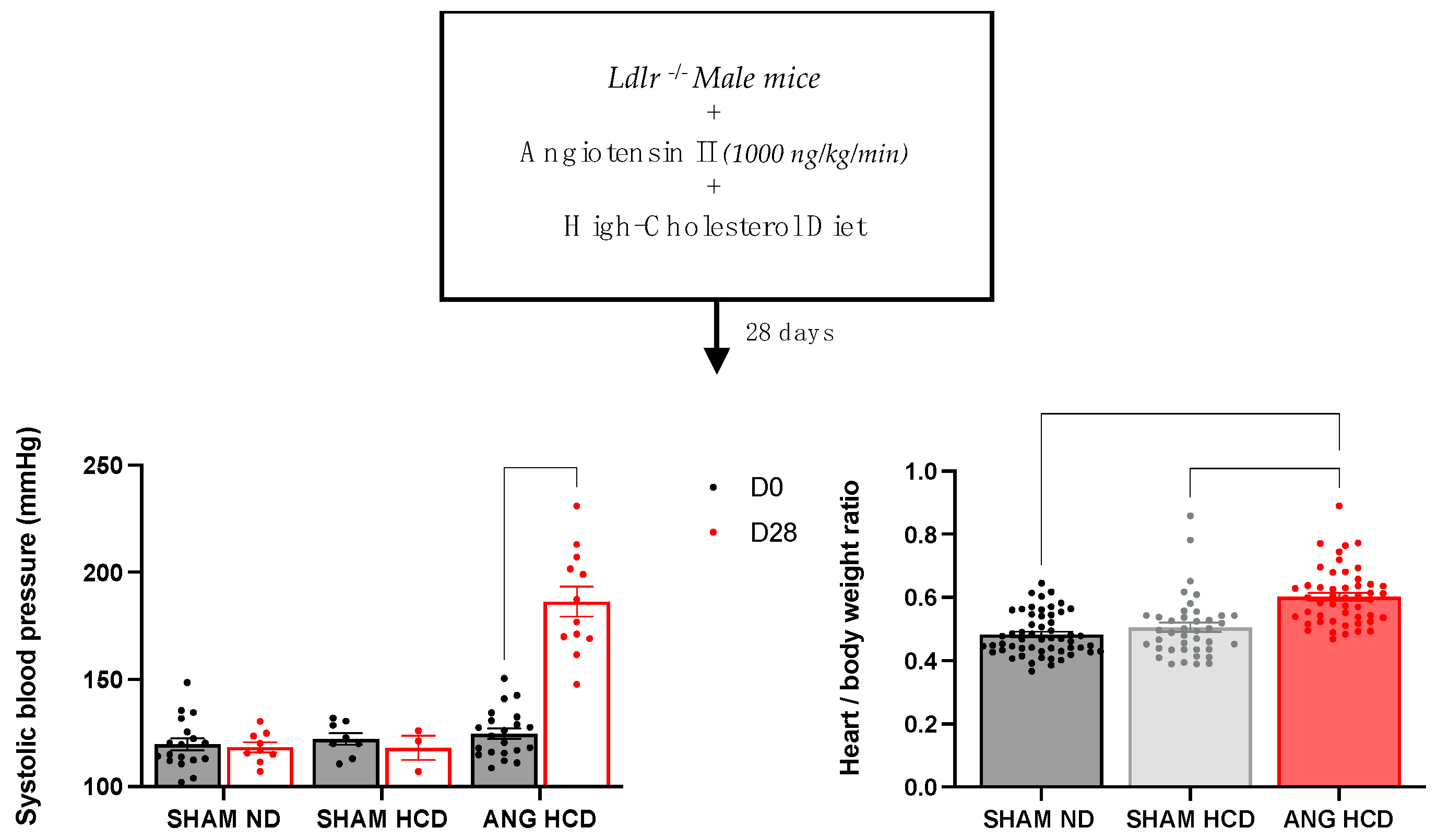 Ijms Free Full Text Metabolomic Profiling Of Angiotensin Ii Induced Abdominal Aortic Aneurysm In Ldlr Minus Minus Mice Points To Alteration Of Nitric Oxide Lipid And Energy Metabolisms