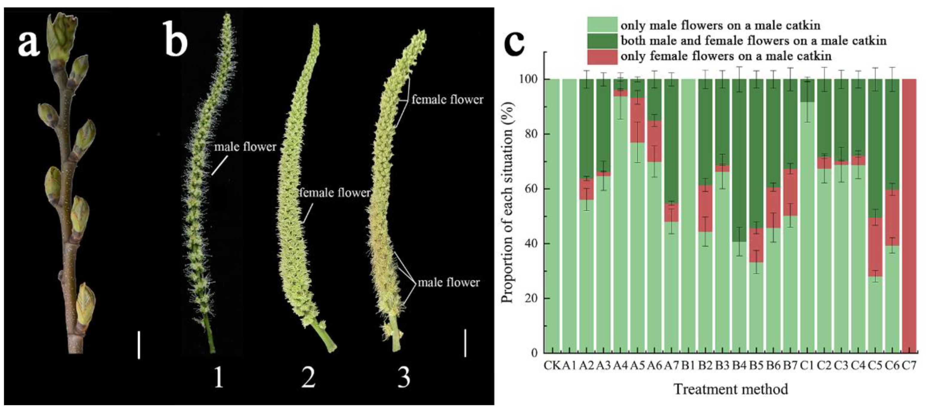 Ijms 23 06389 g001 Ijms 23 06389 g001