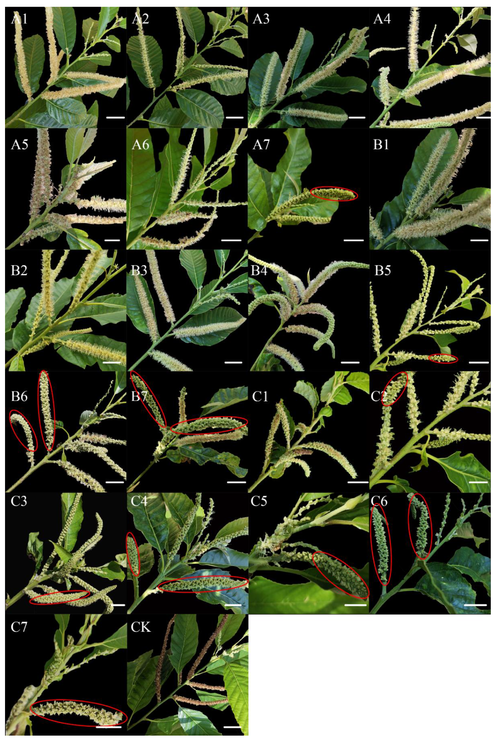 Ijms 23 06389 g002 Ijms 23 06389 g002