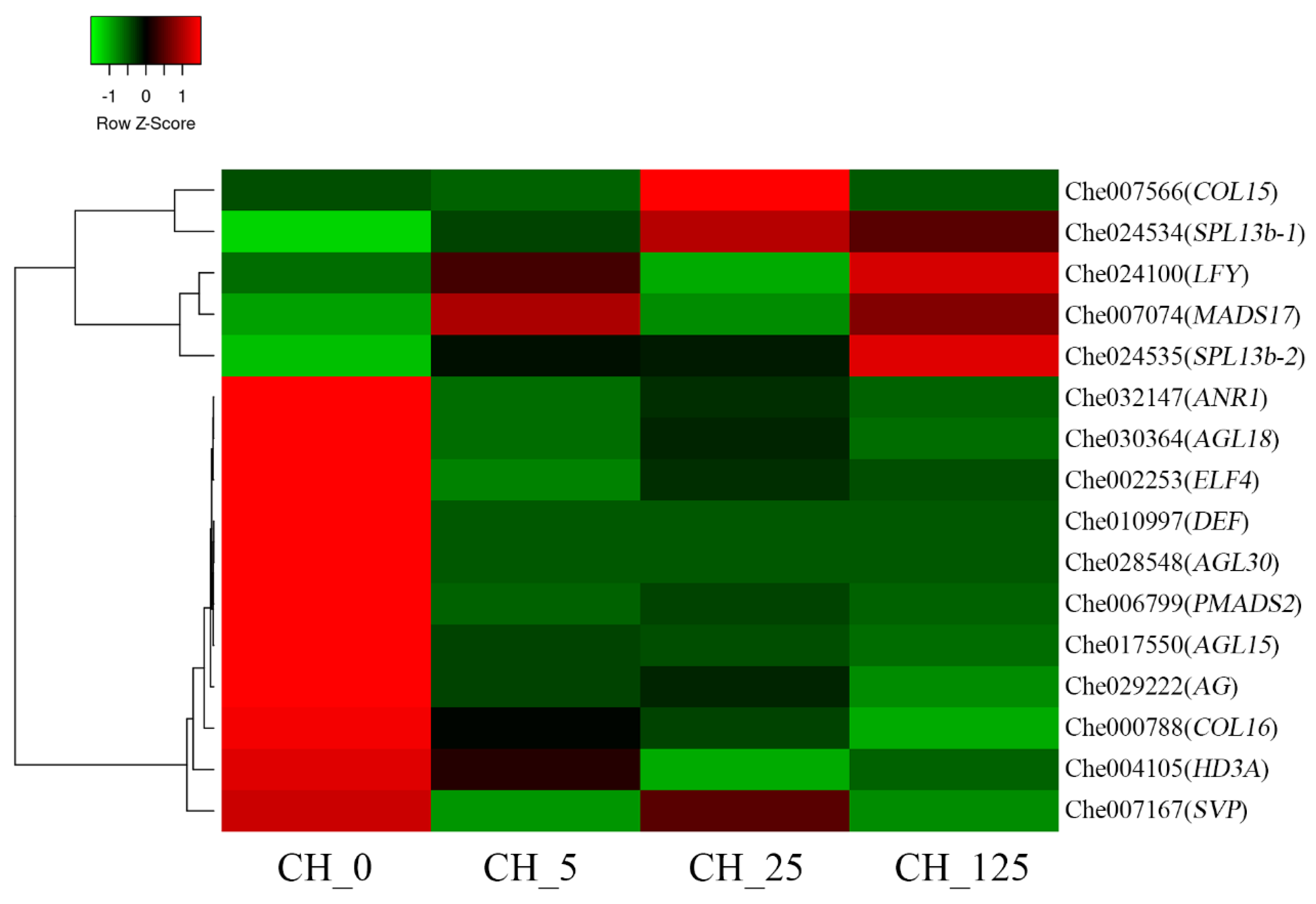 Ijms 23 06389 g010 Ijms 23 06389 g010