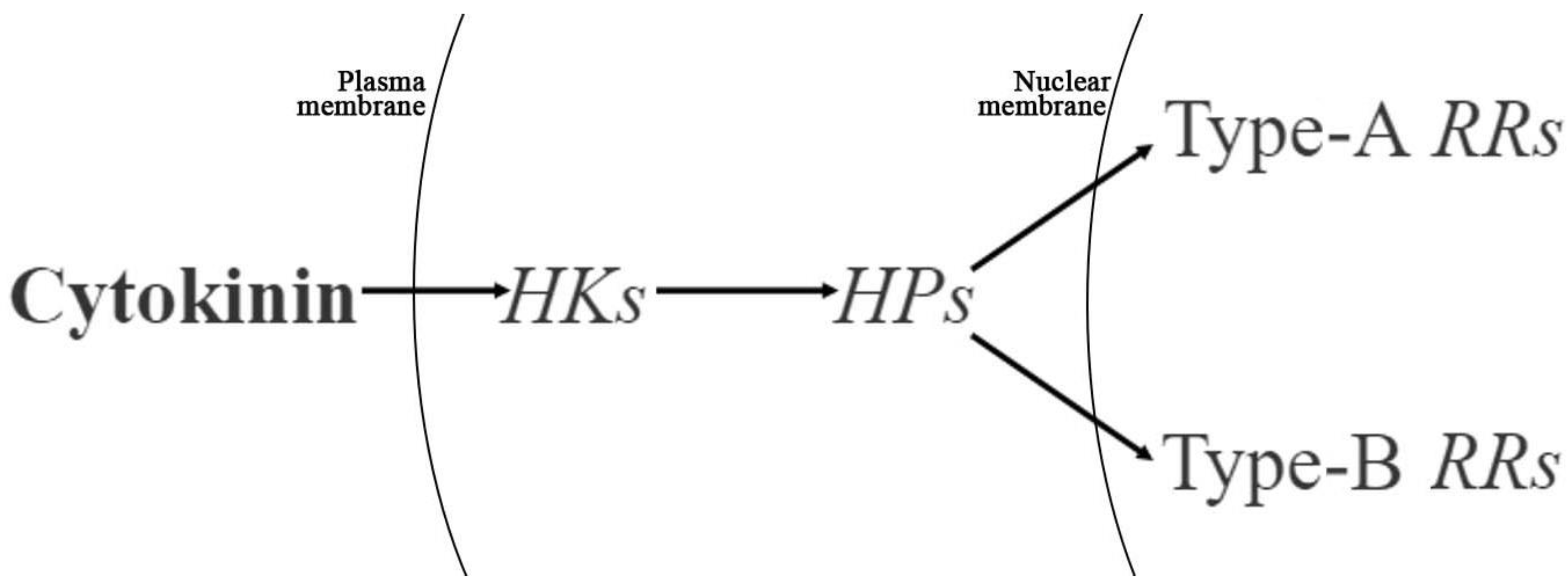 Ijms 23 06389 g011 Ijms 23 06389 g011