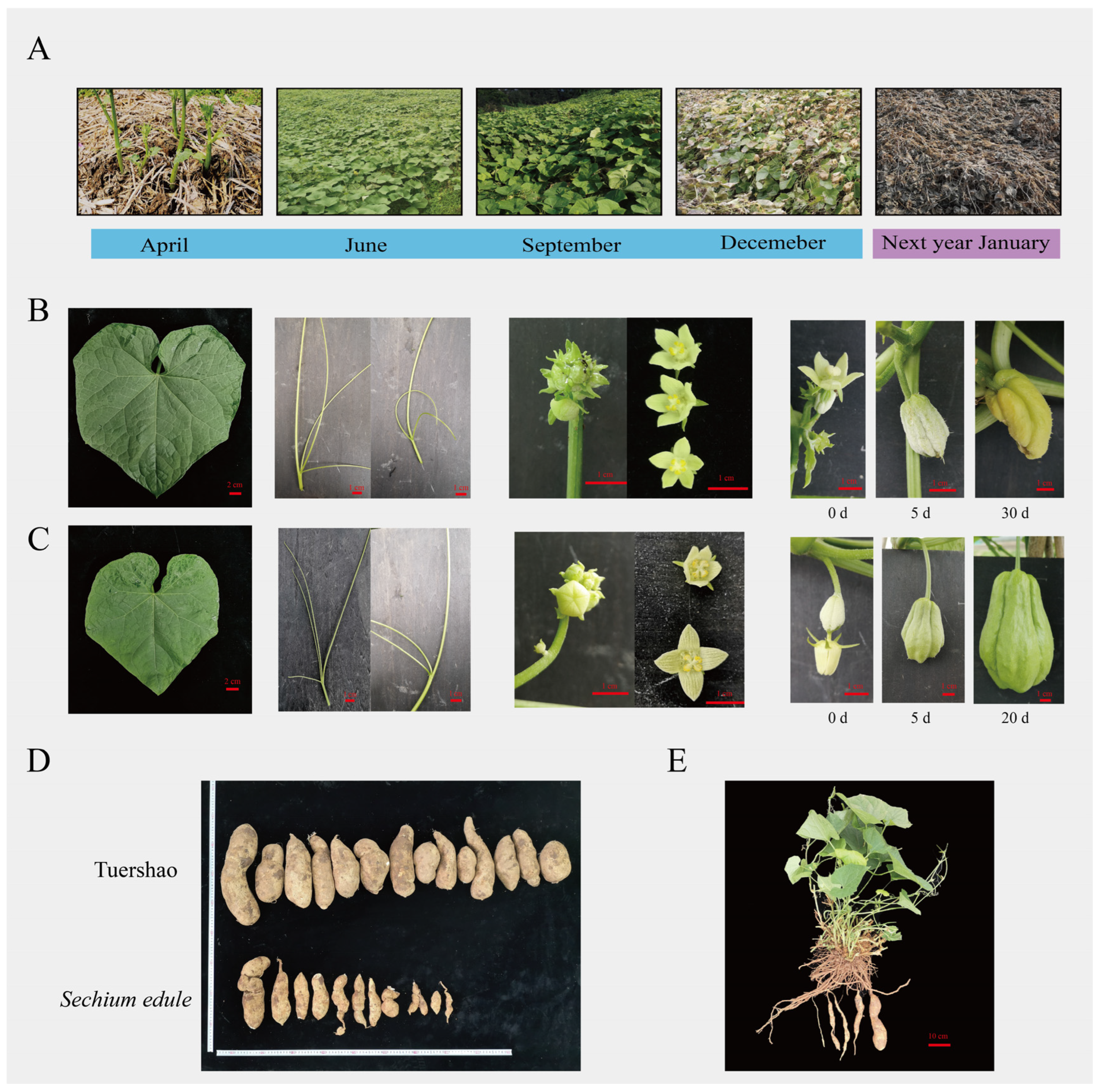 Ijms 23 06390 g001 550