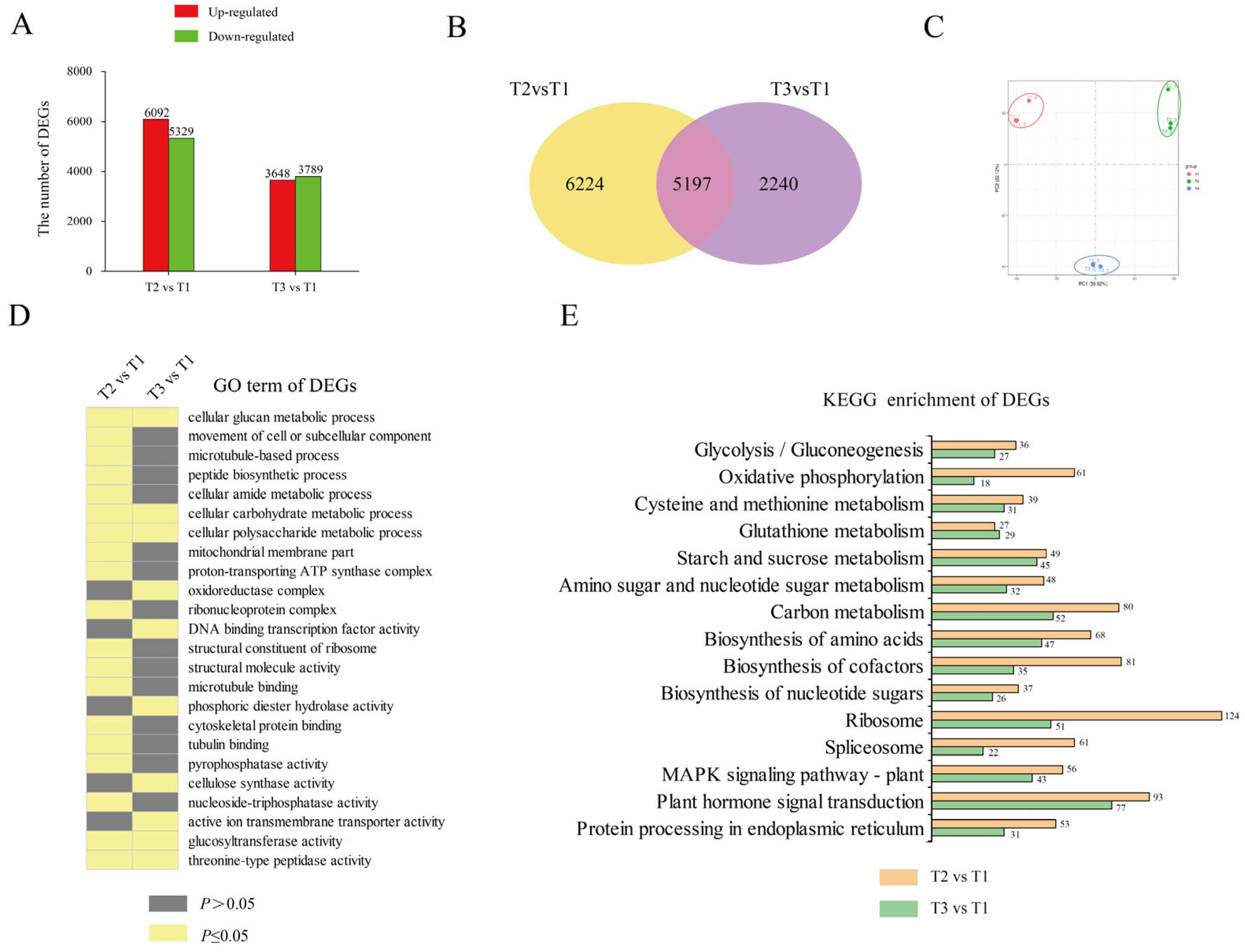 Ijms 23 06390 g003 550
