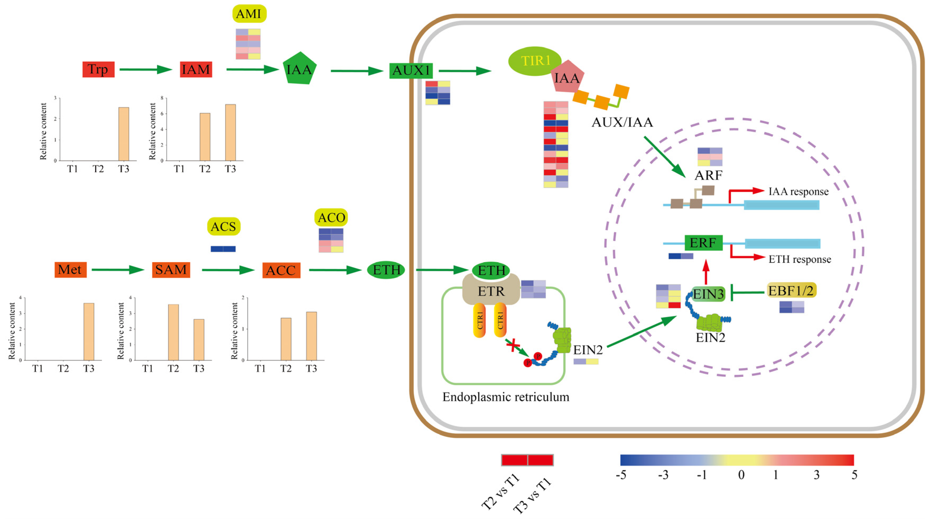 Ijms 23 06390 g005 550