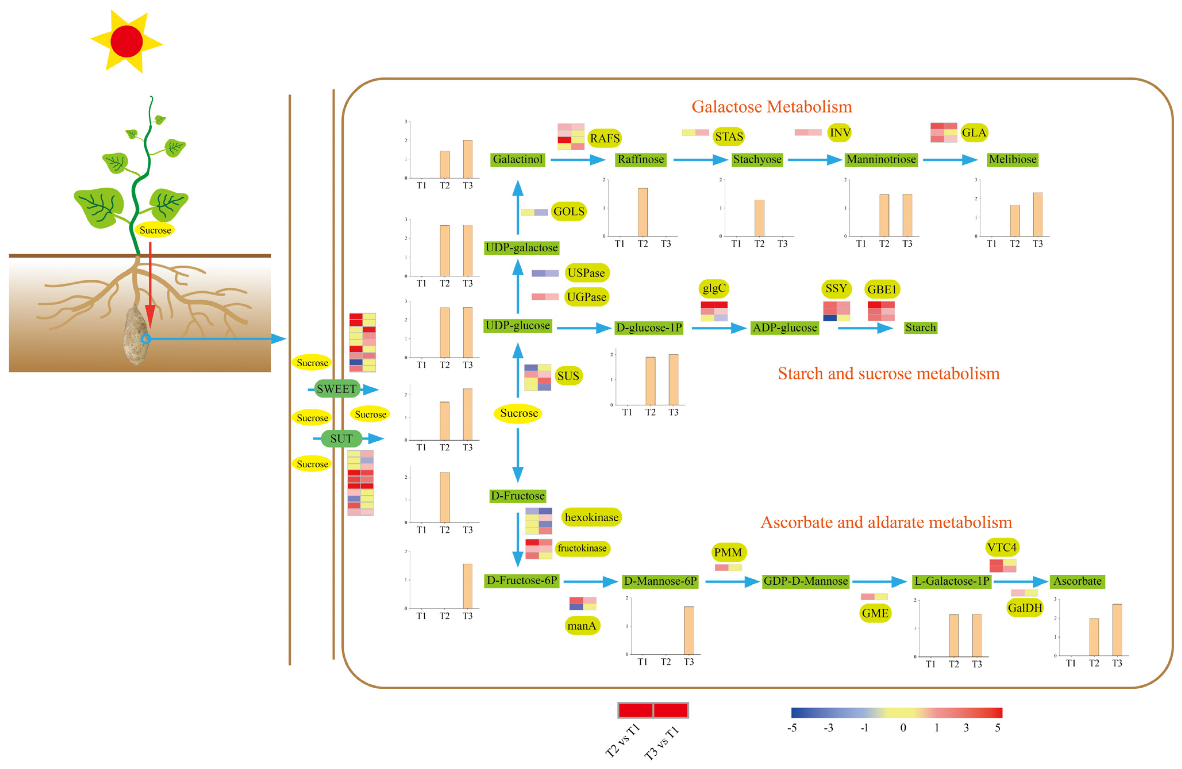 Ijms 23 06390 g006 550