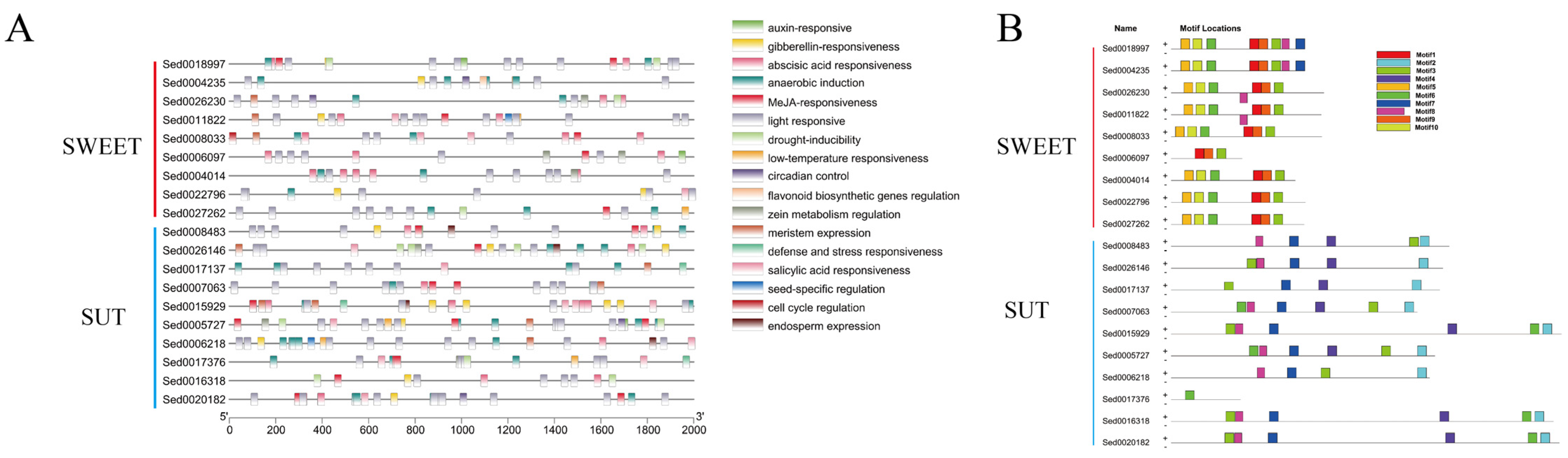 Ijms 23 06390 g007 550