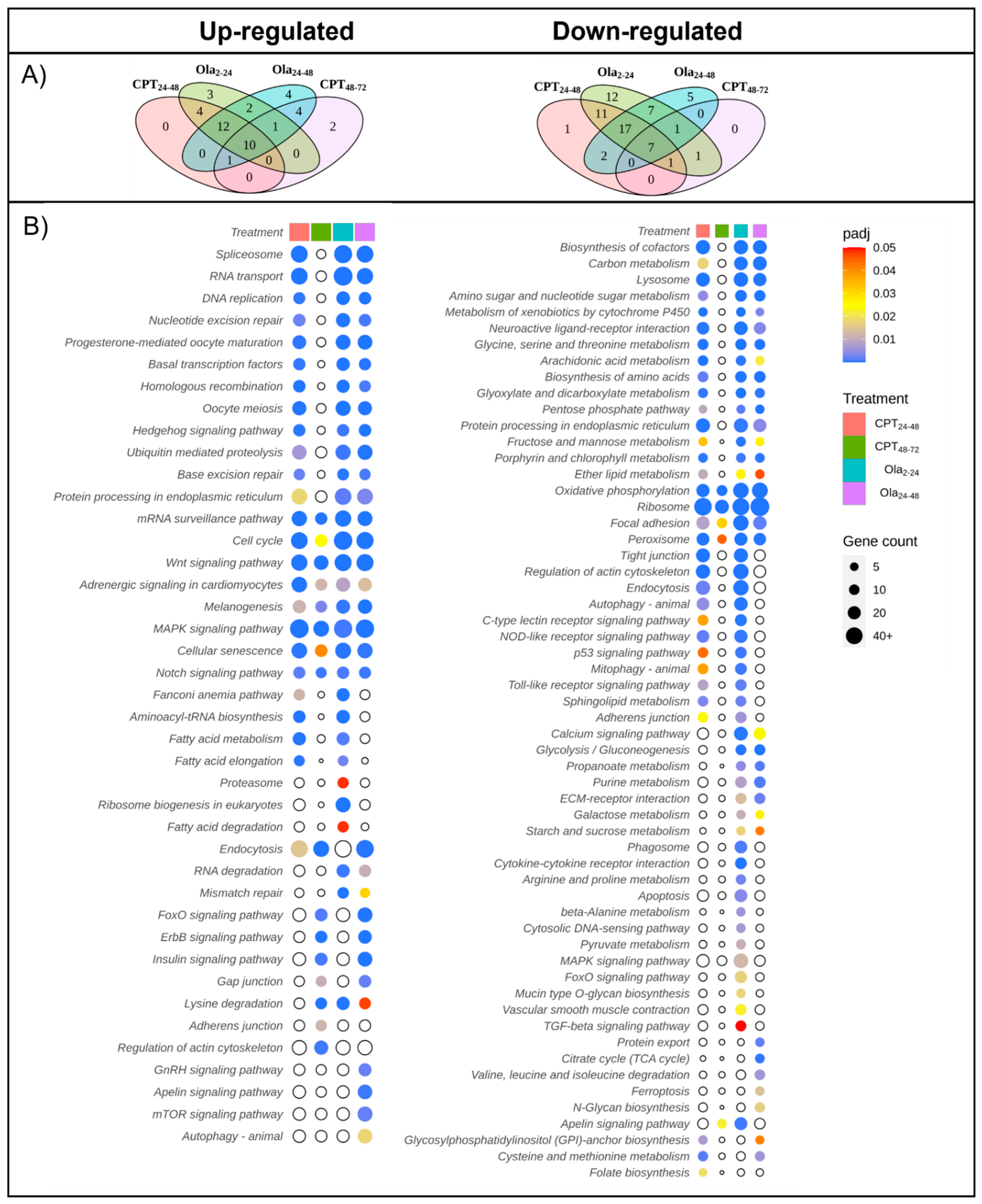 Ijms 23 06392 g005 550