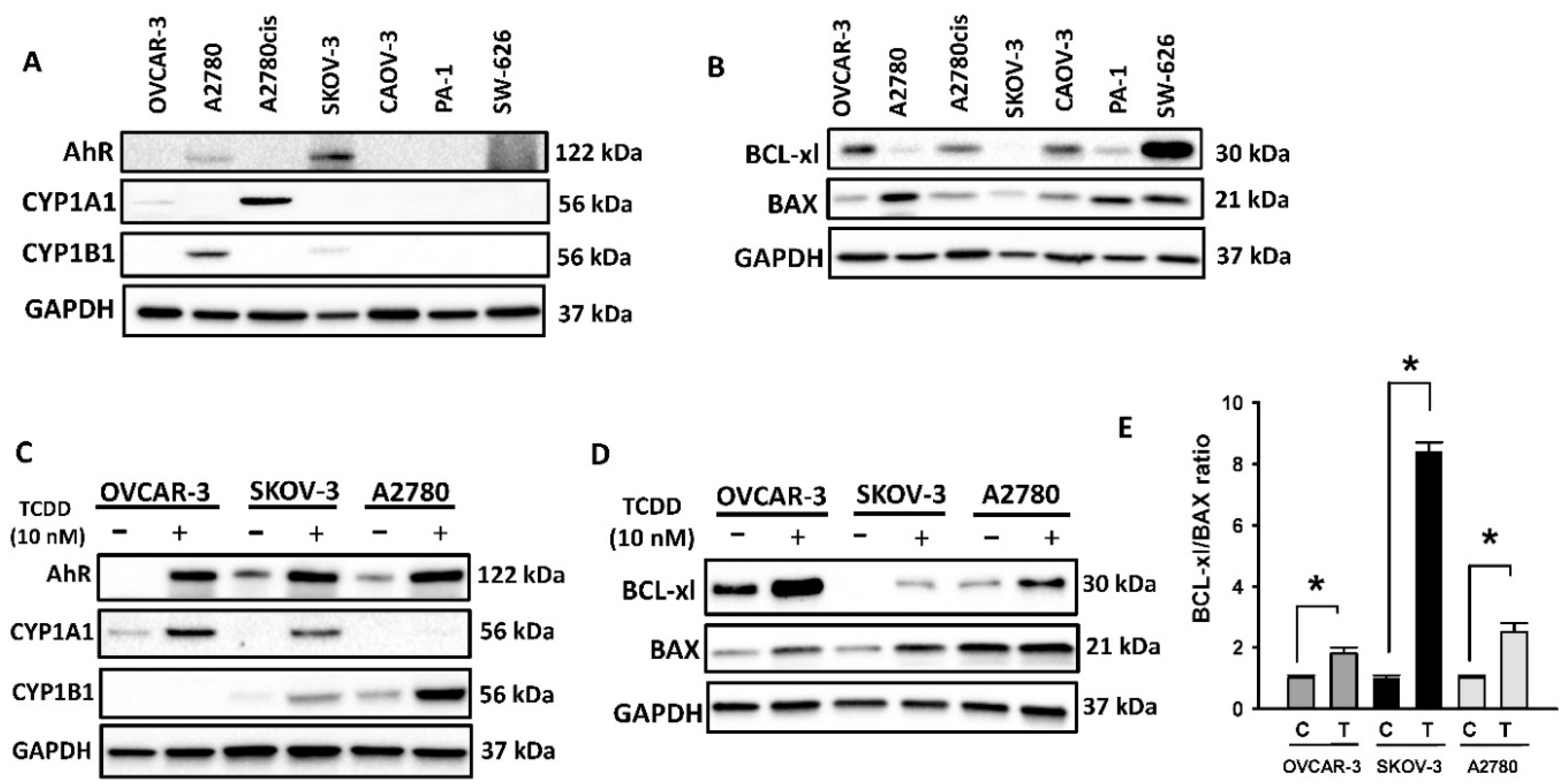 Ijms 23 06395 g001 550