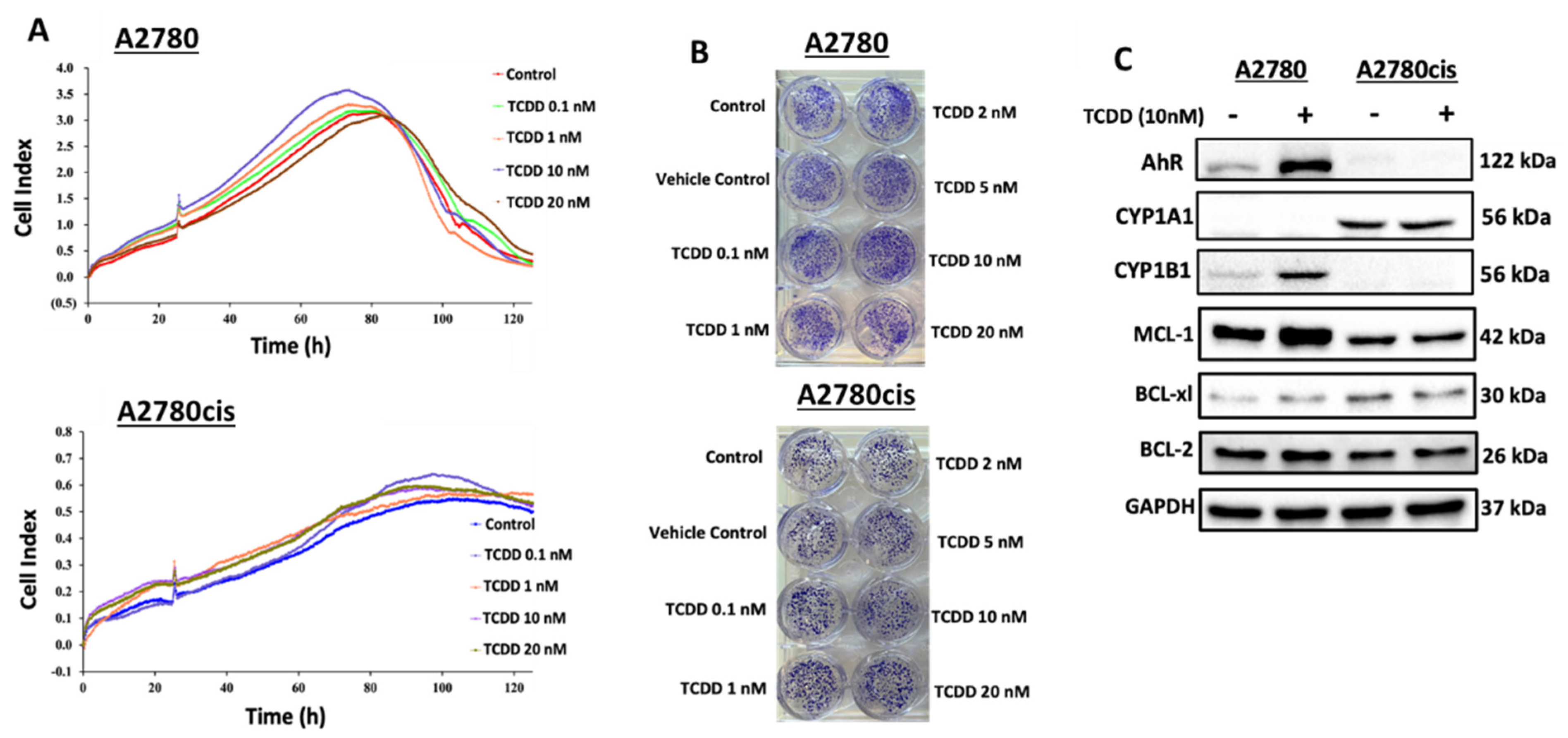 Ijms 23 06395 g002 550