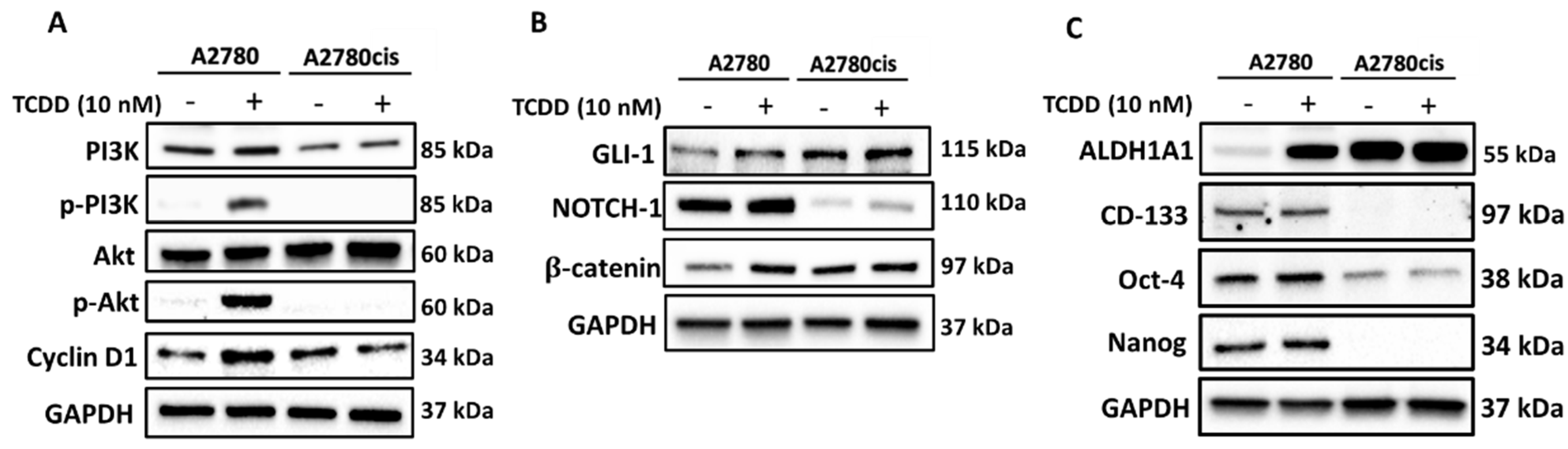 Ijms 23 06395 g004 550