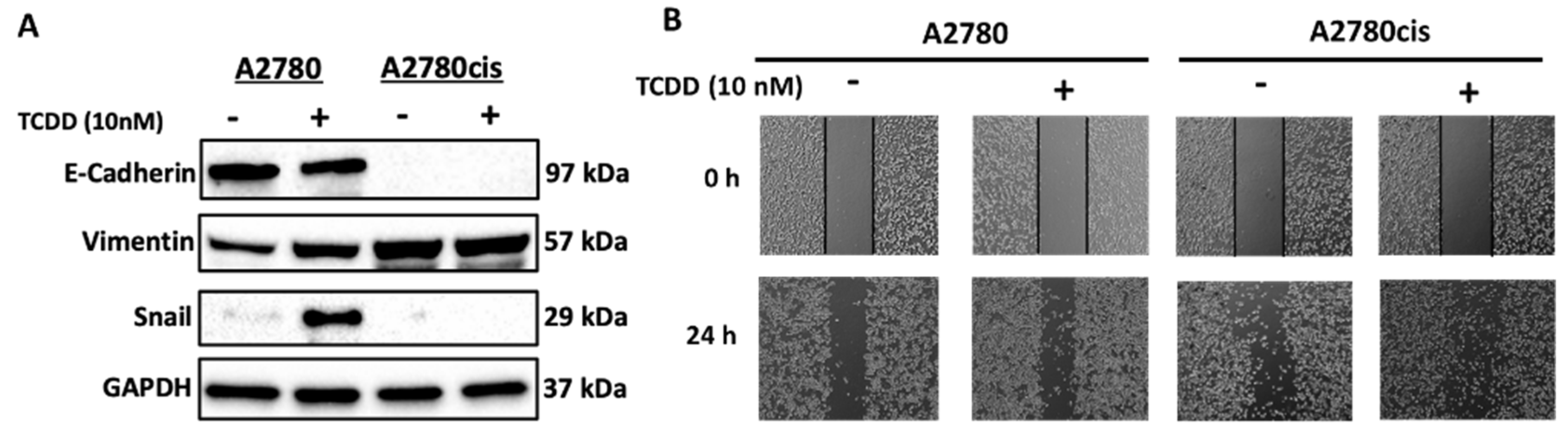 Ijms 23 06395 g005 550