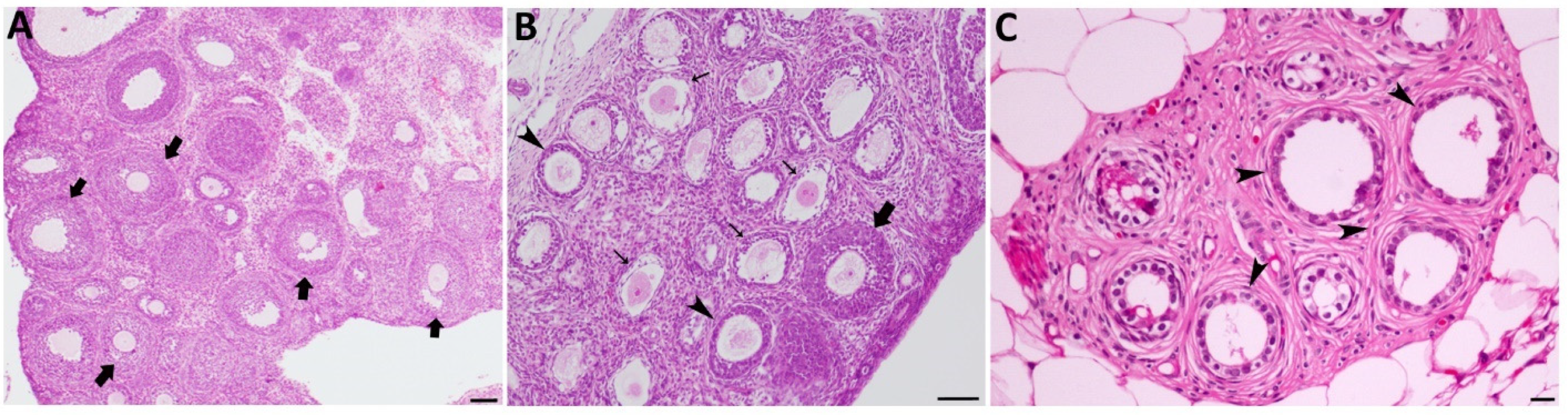 Ijms 23 06397 g001 550