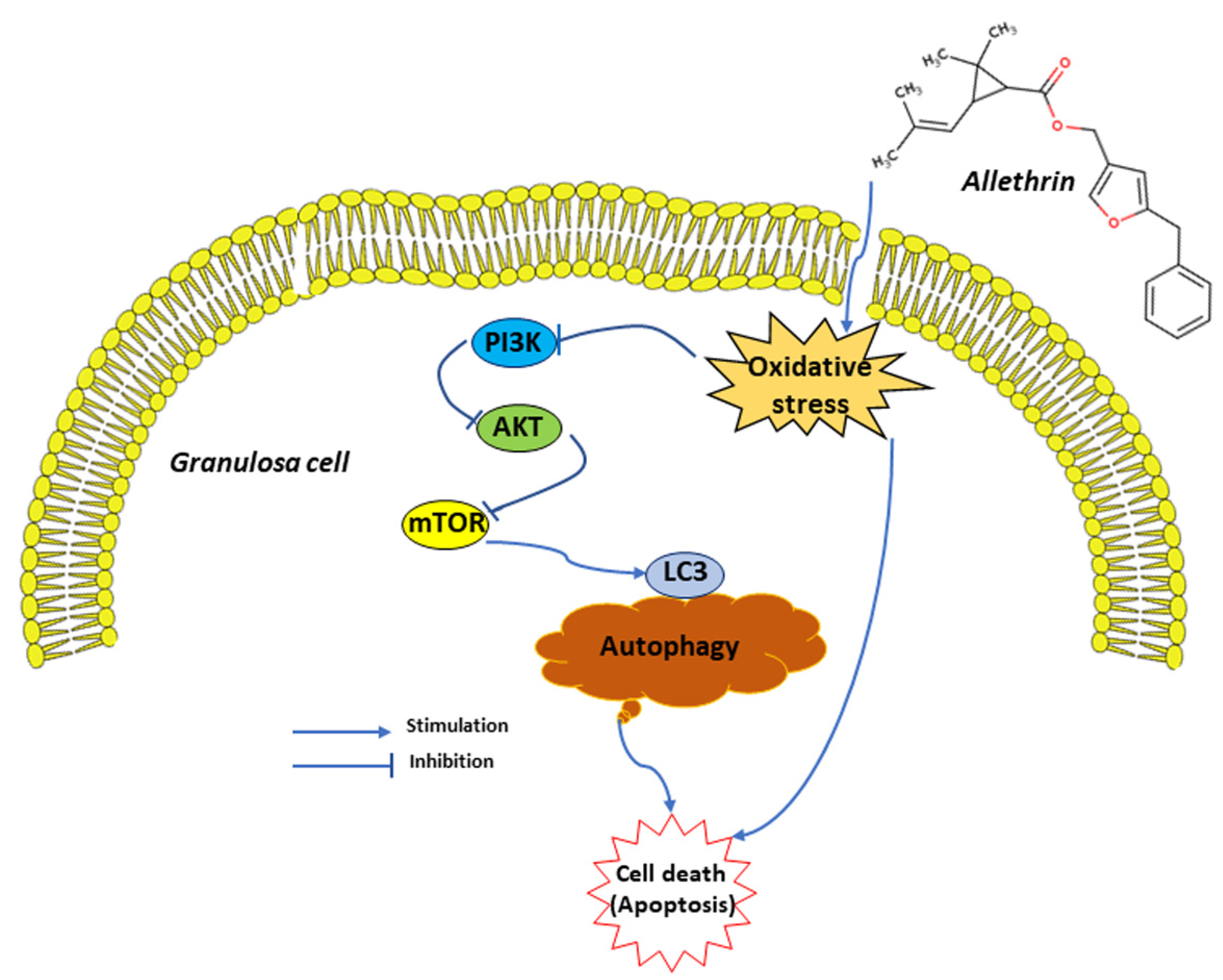 Ijms 23 06397 g006 550
