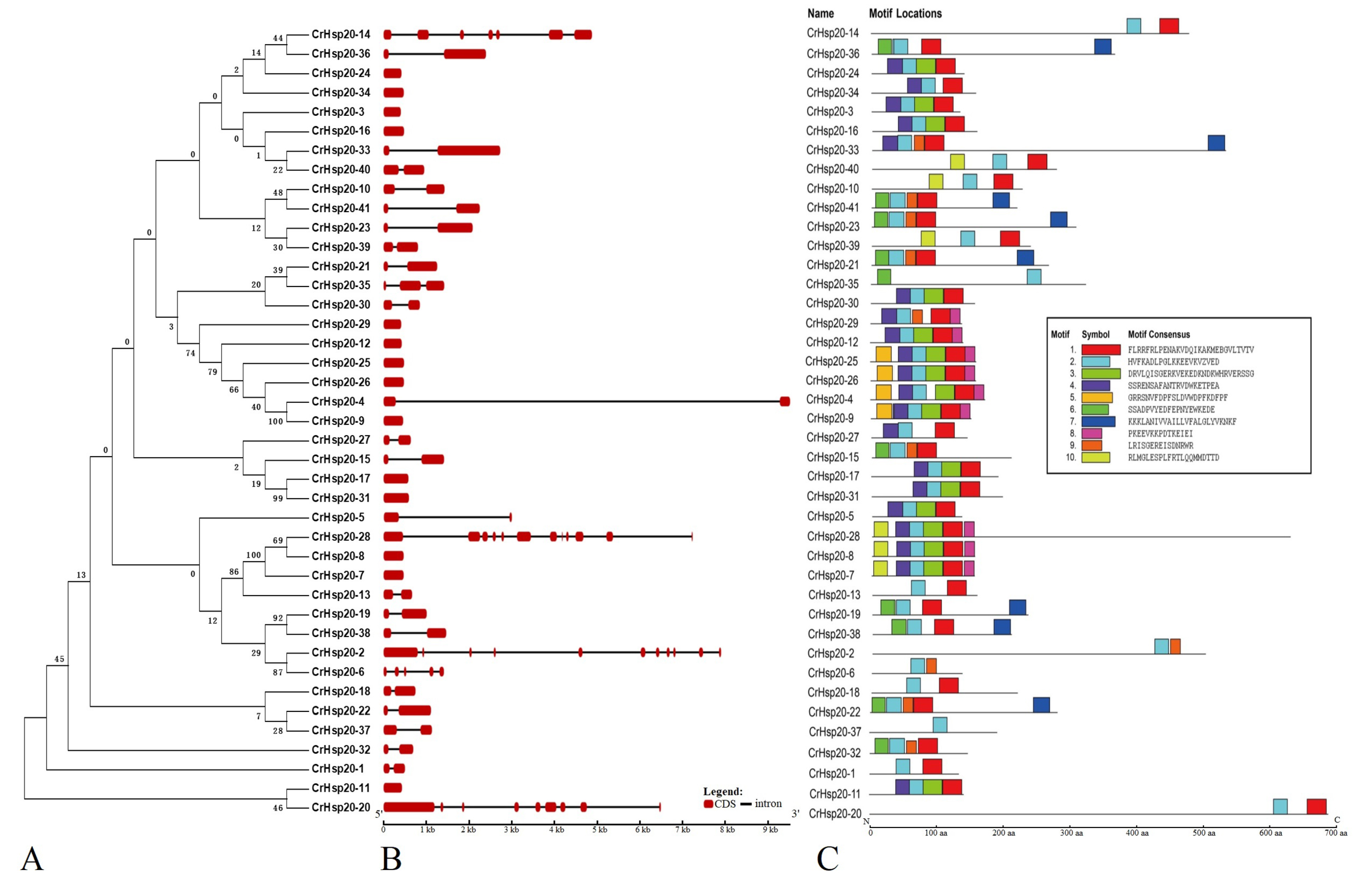 Ijms 23 06405 g002 550