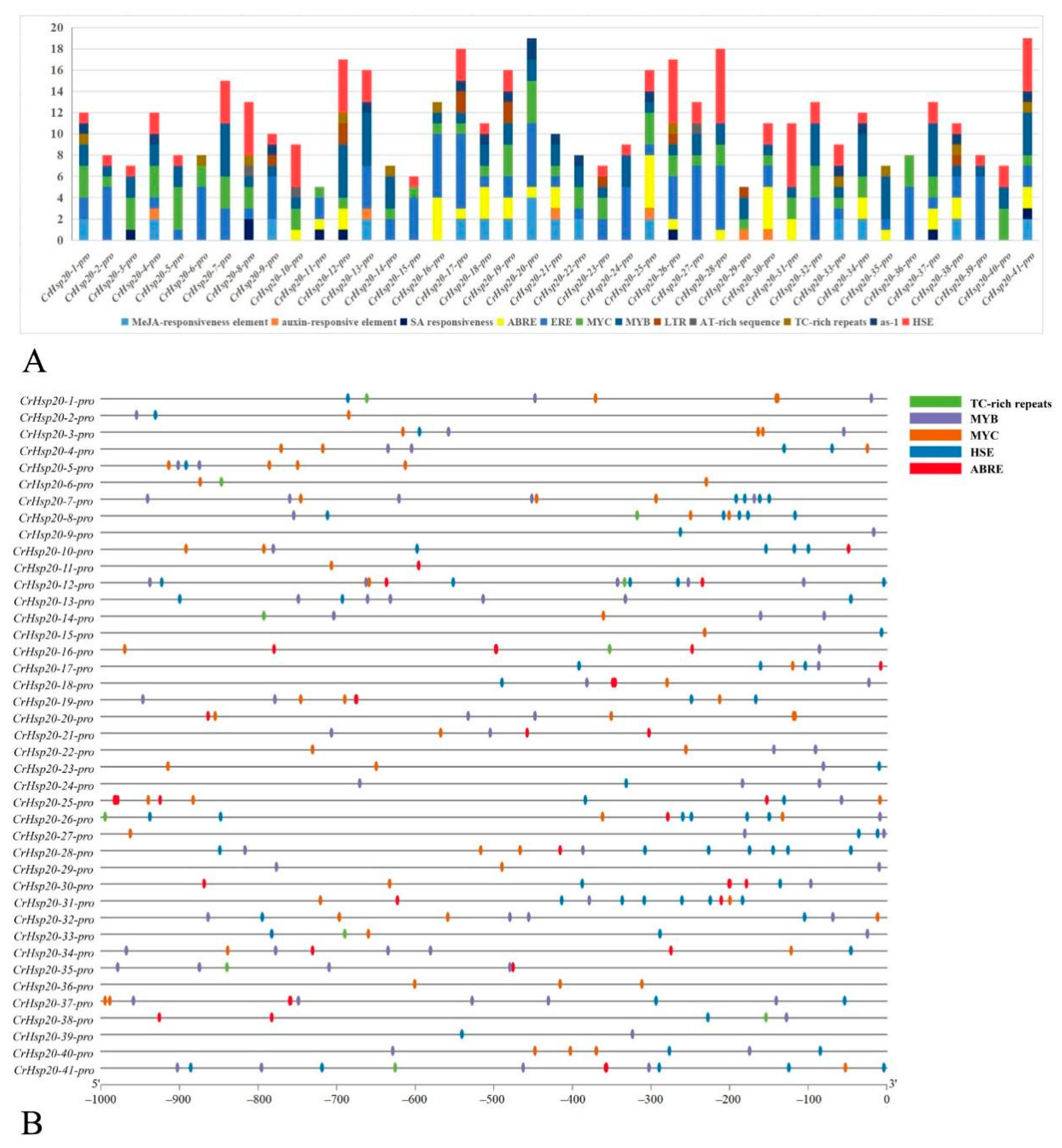 Ijms 23 06405 g004 550