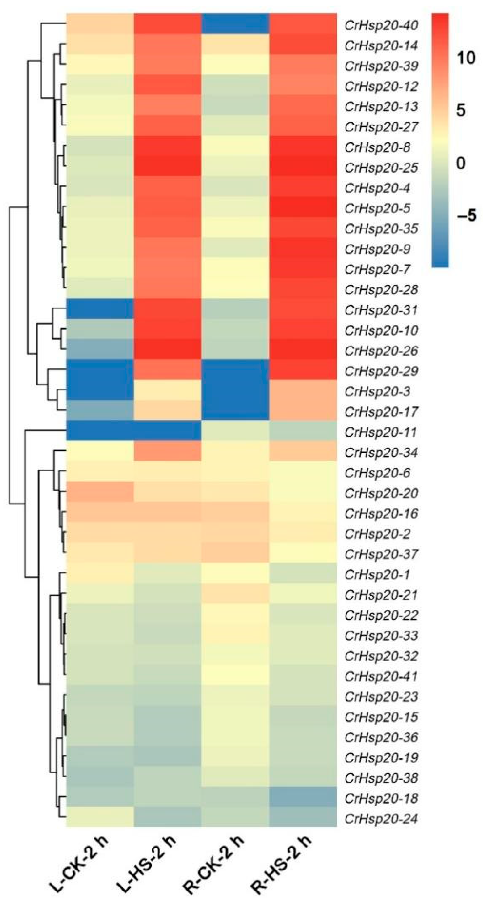 Ijms 23 06405 g007 550