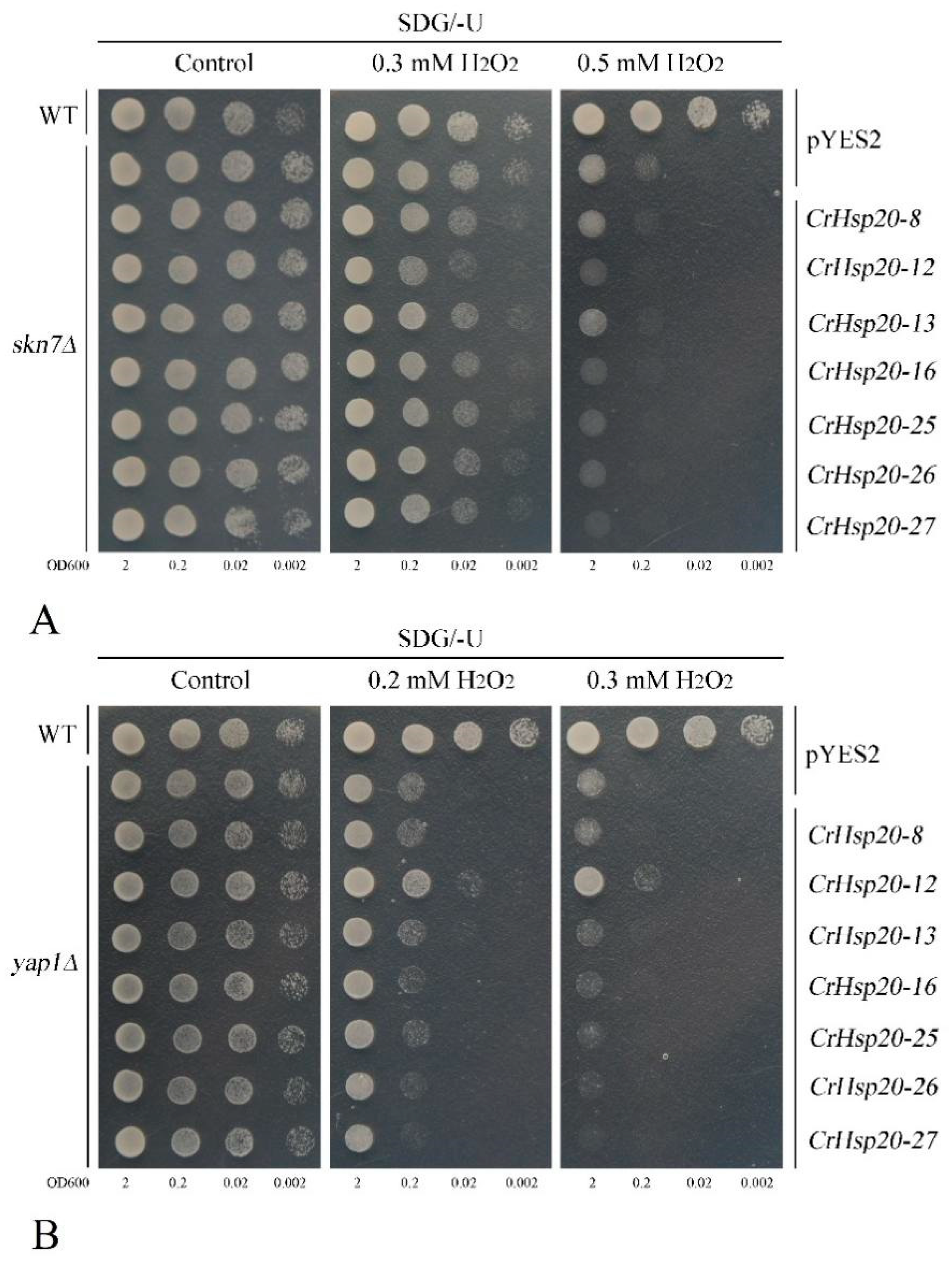 Ijms 23 06405 g010 550