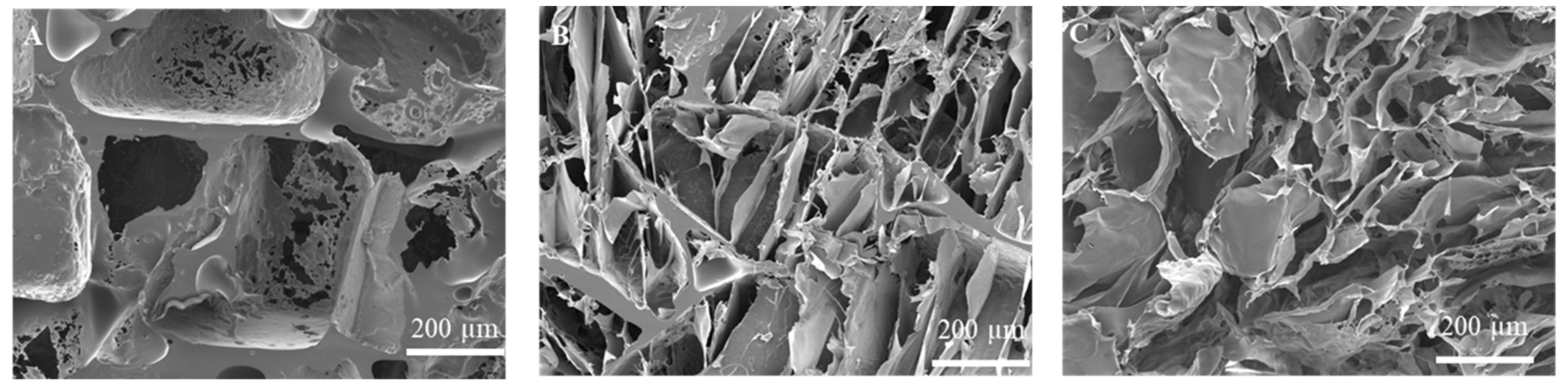 Ijms 23 06406 g001 550