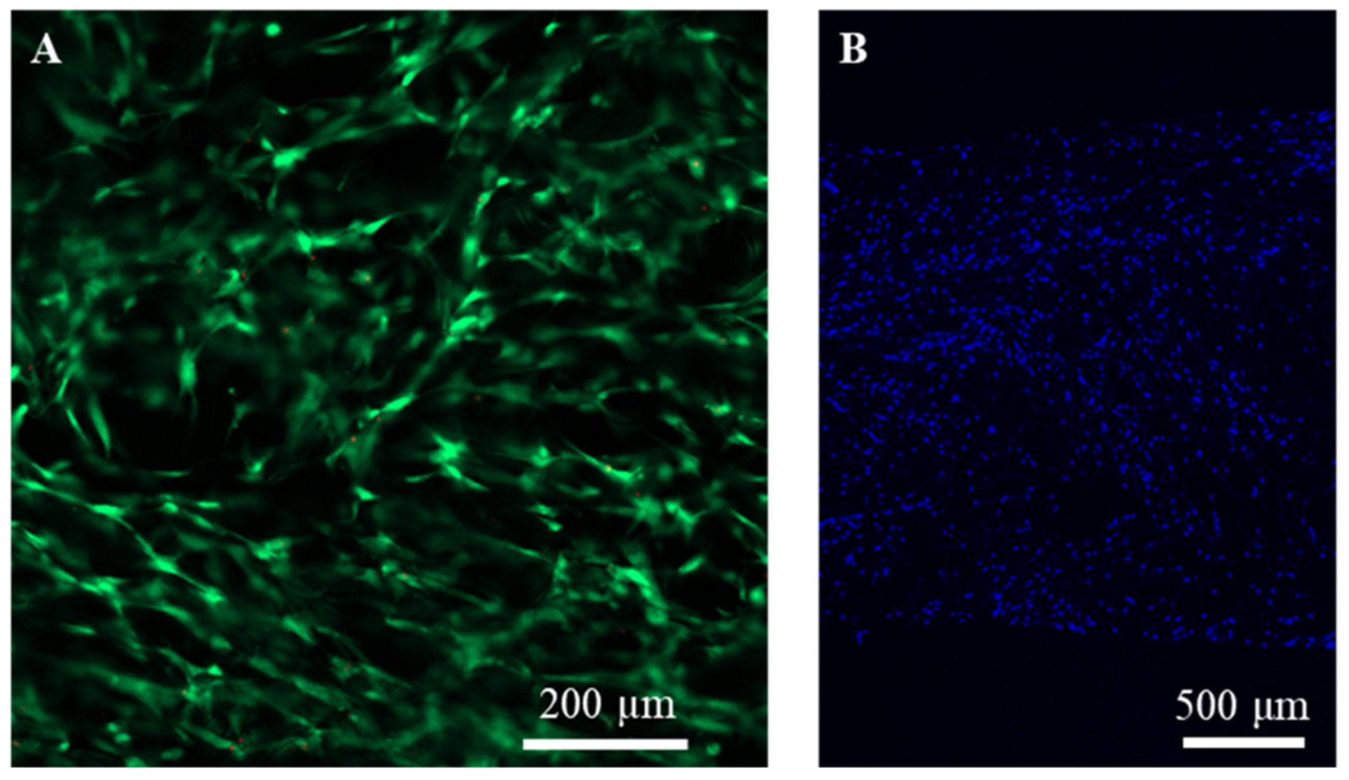 Ijms 23 06406 g002 550